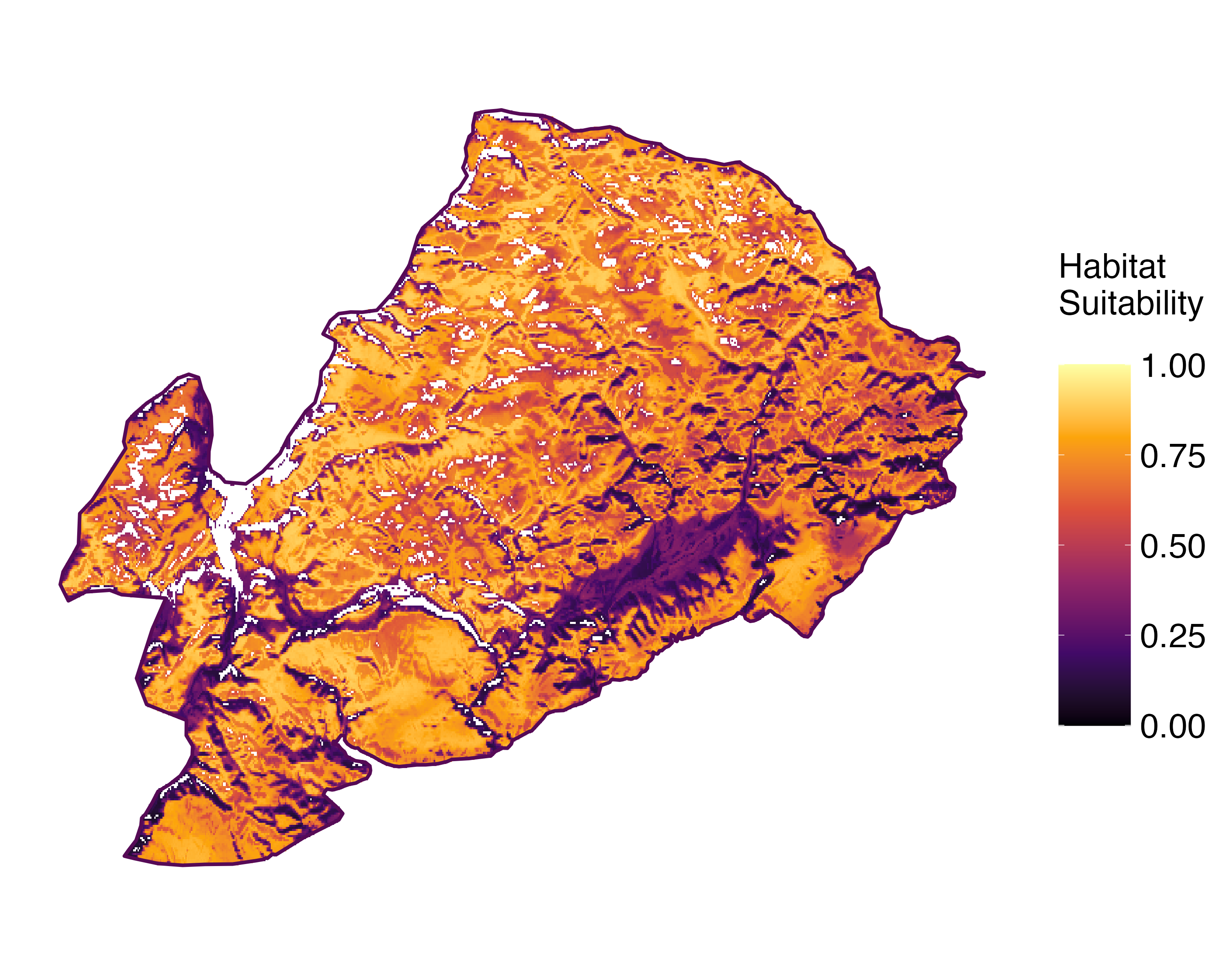 Model Image