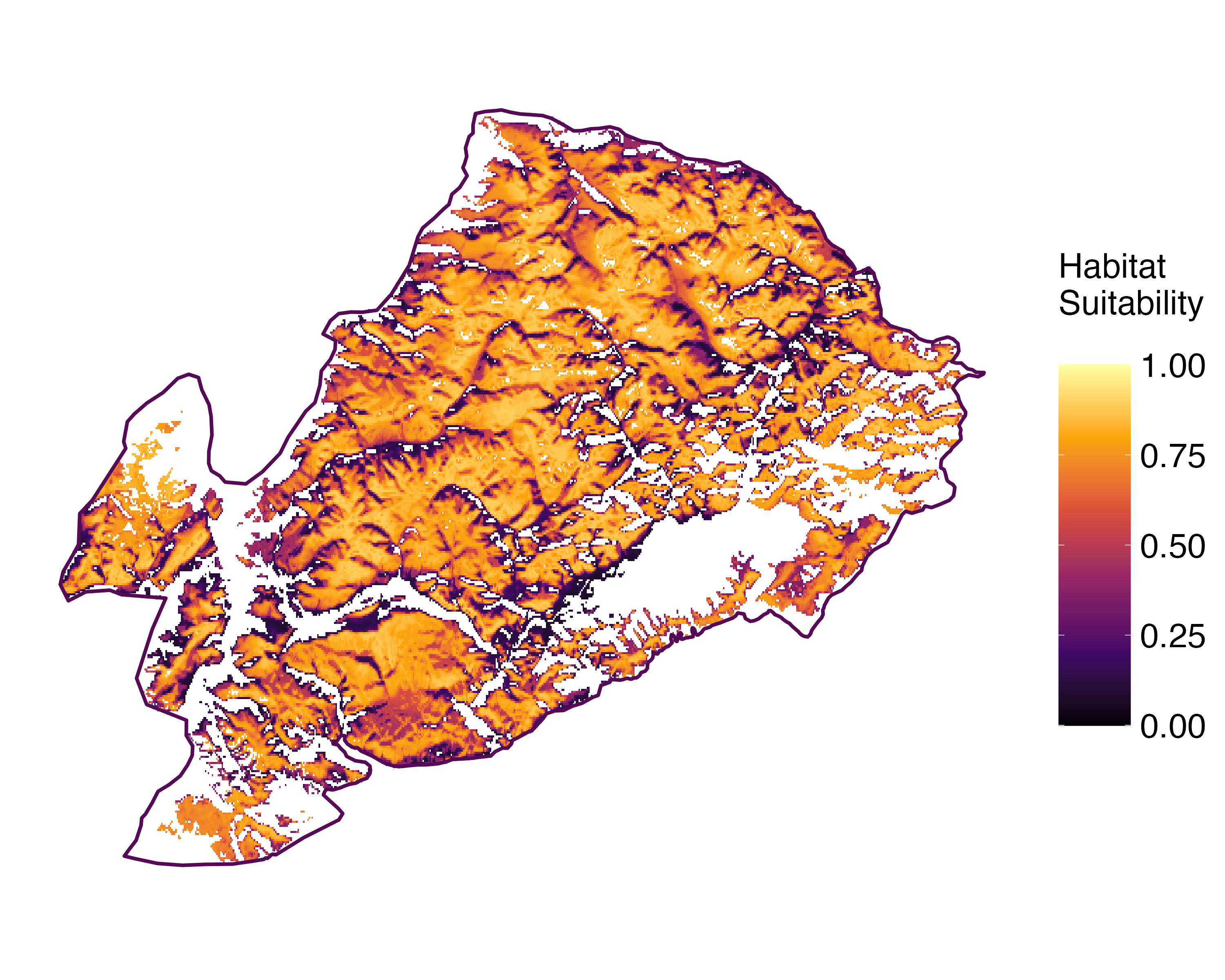 Model Image