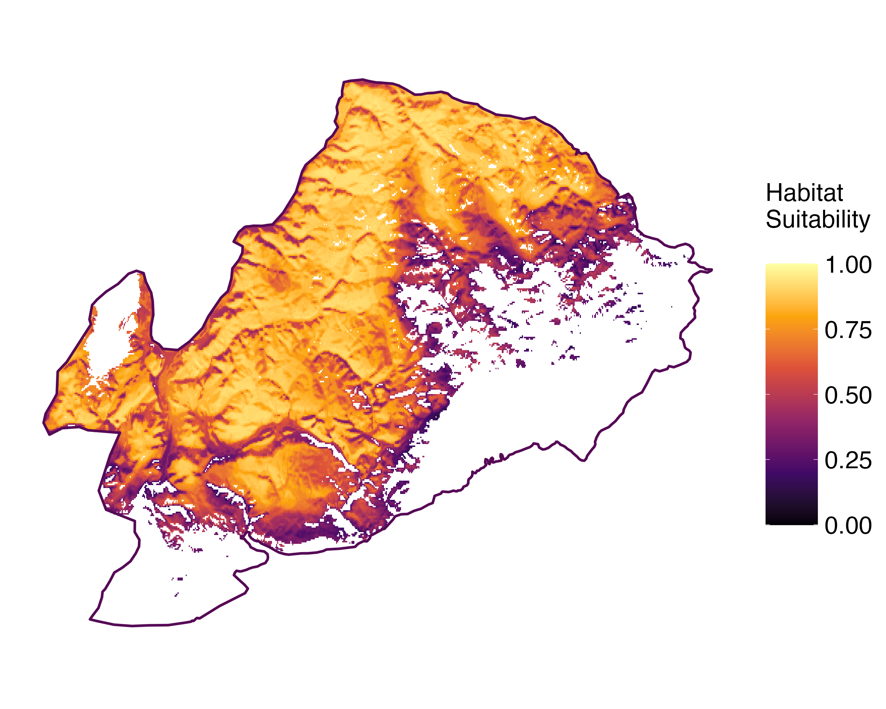 Model Image