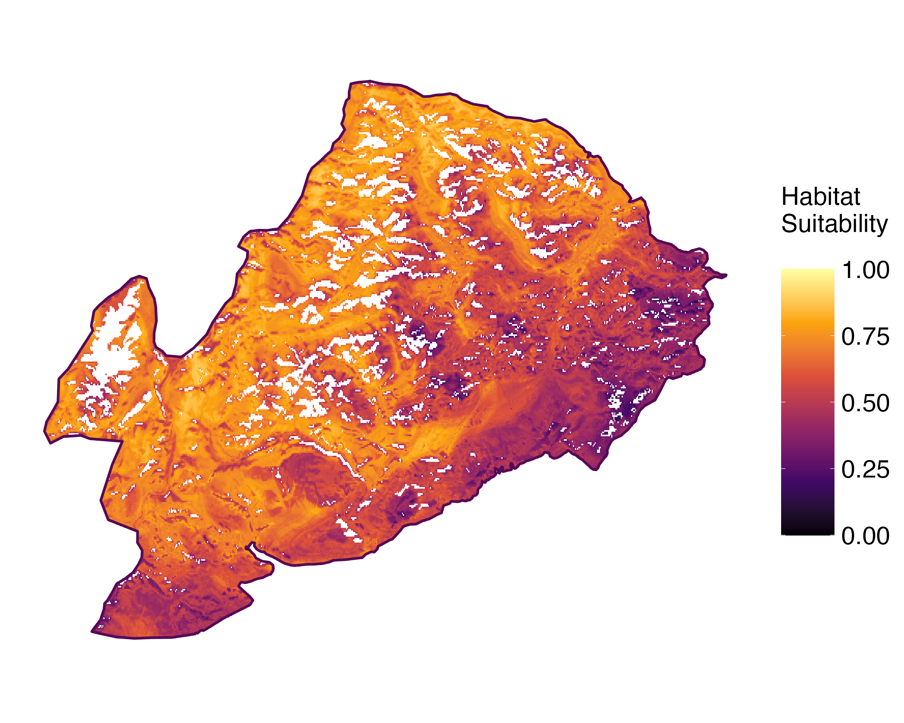 Model Image