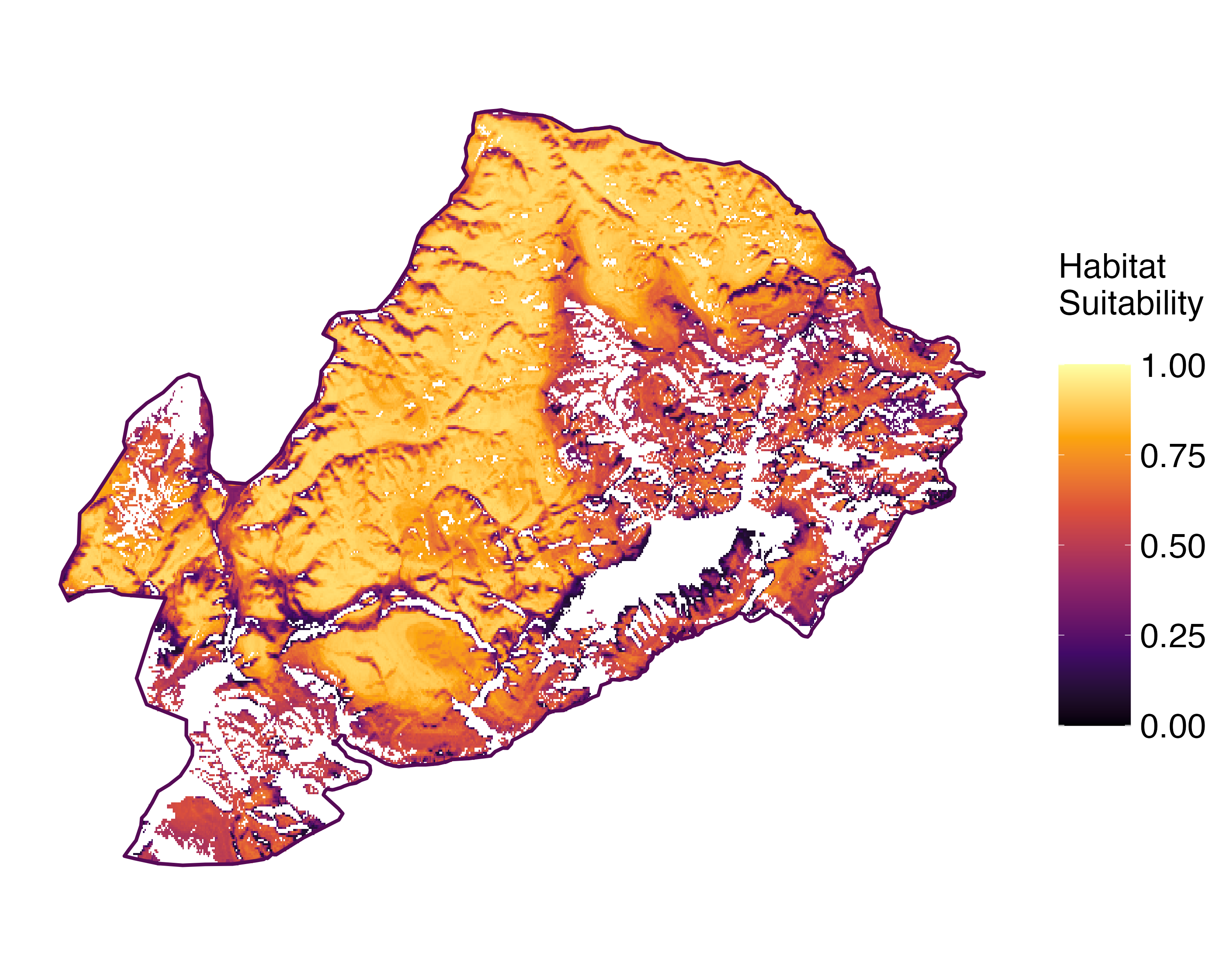 Model Image