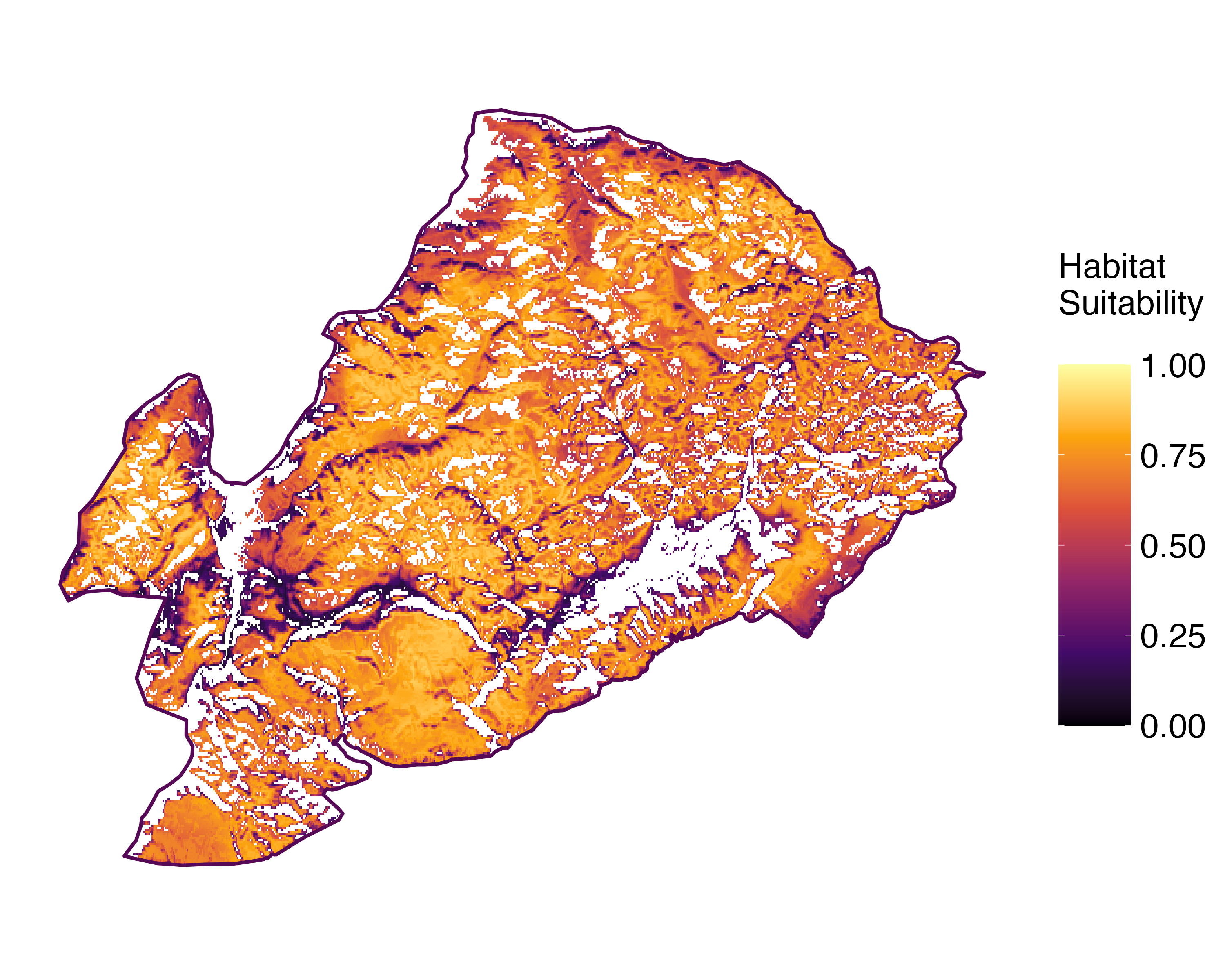 Model Image