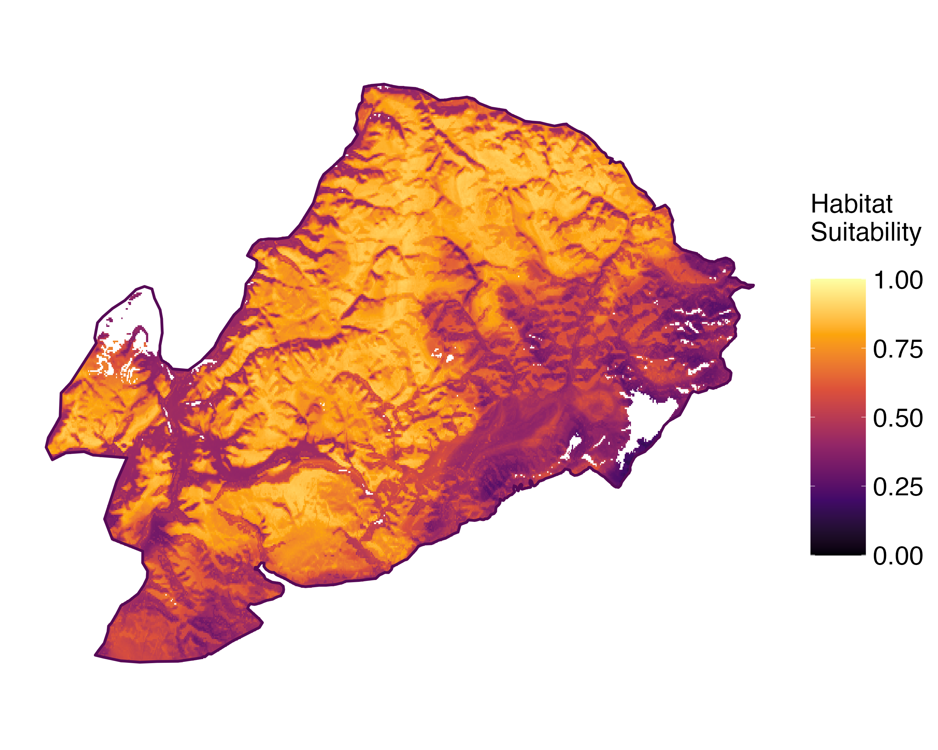 Model Image