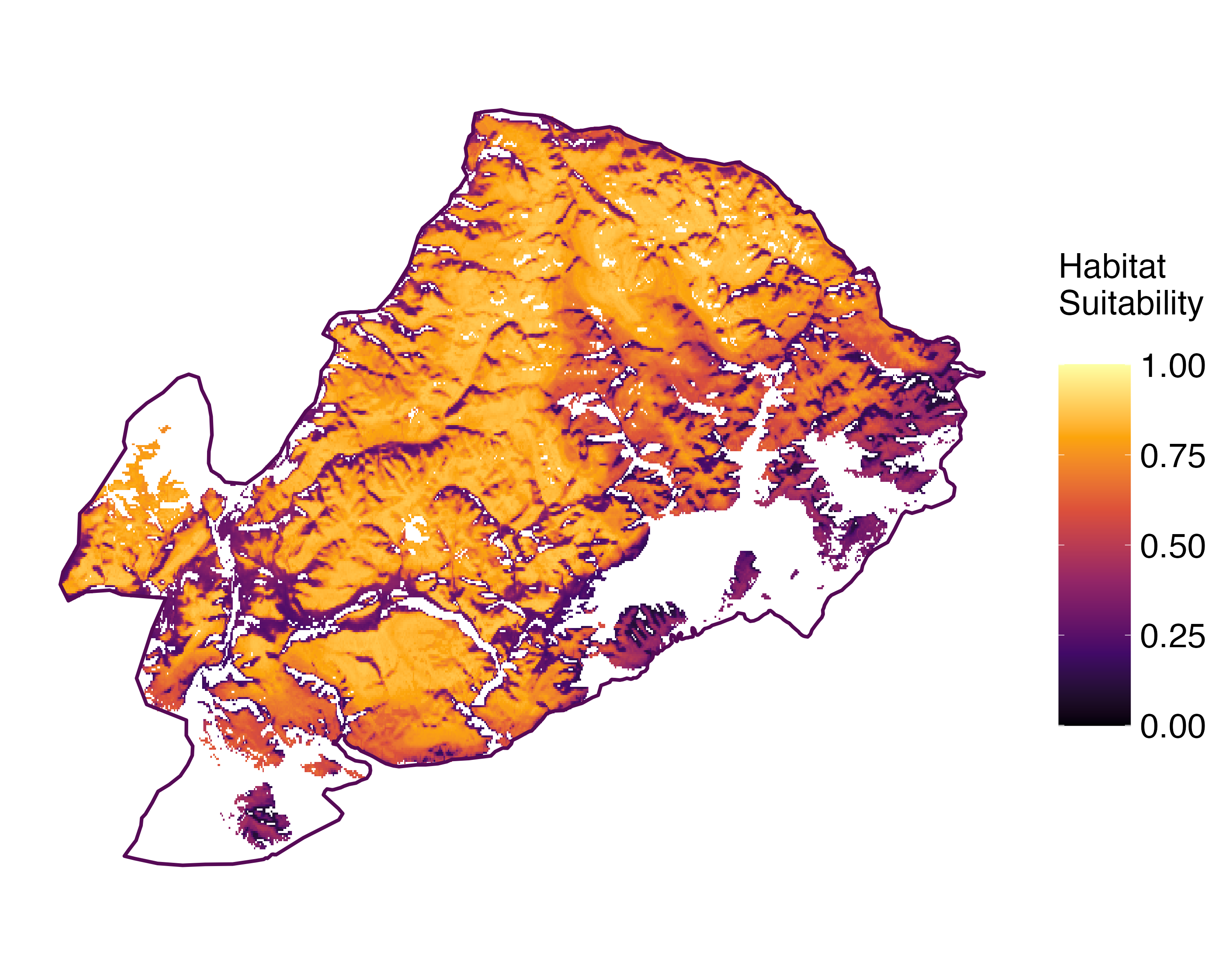 Model Image