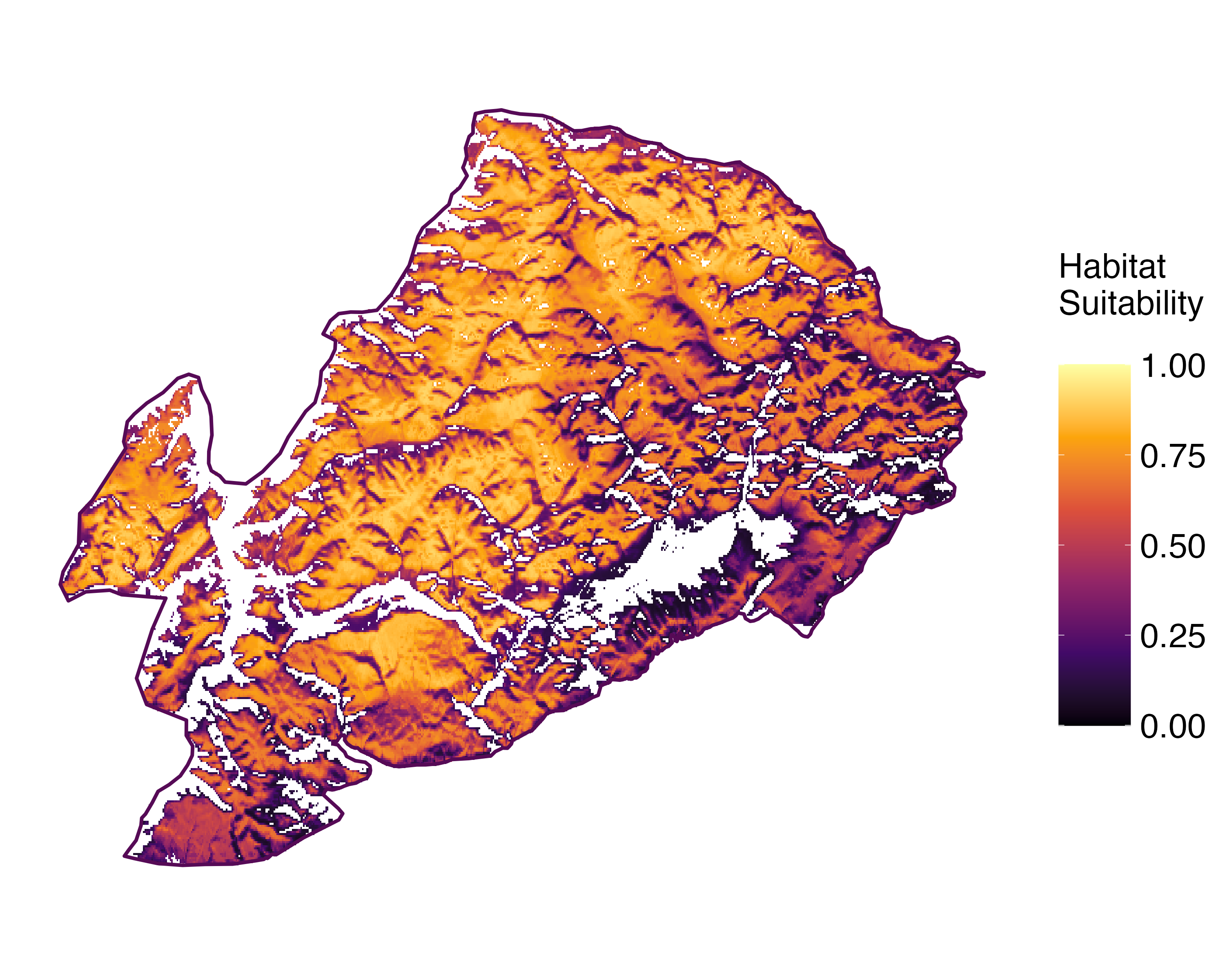 Model Image