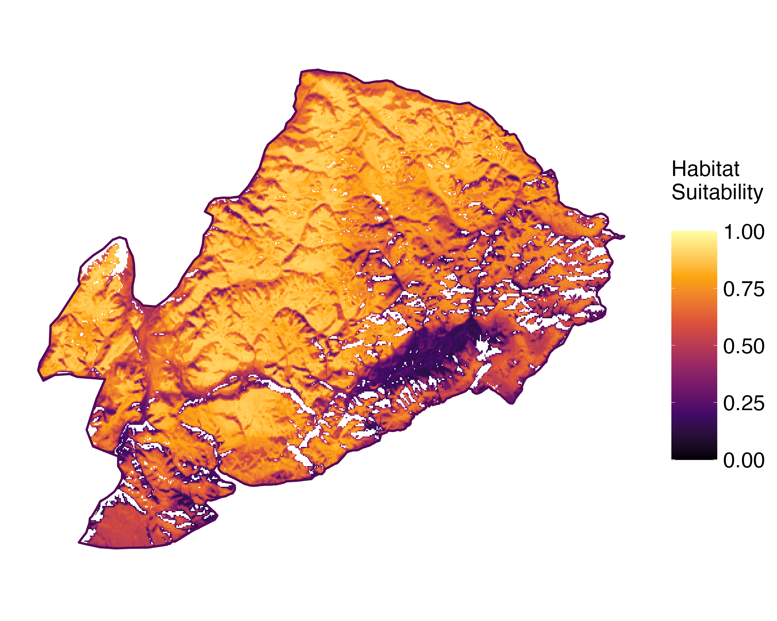 Model Image