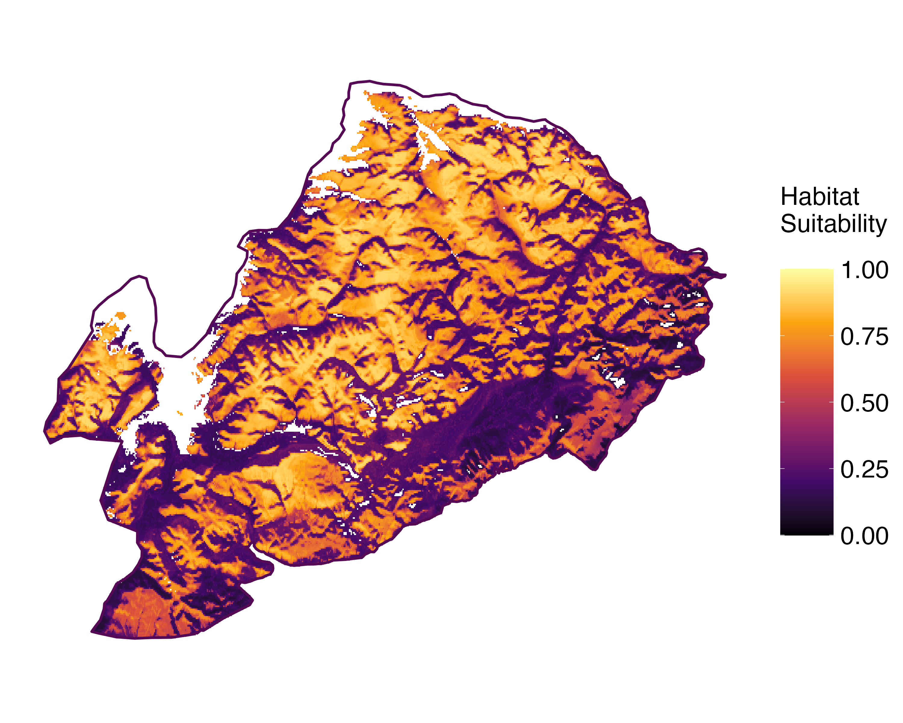 Model Image