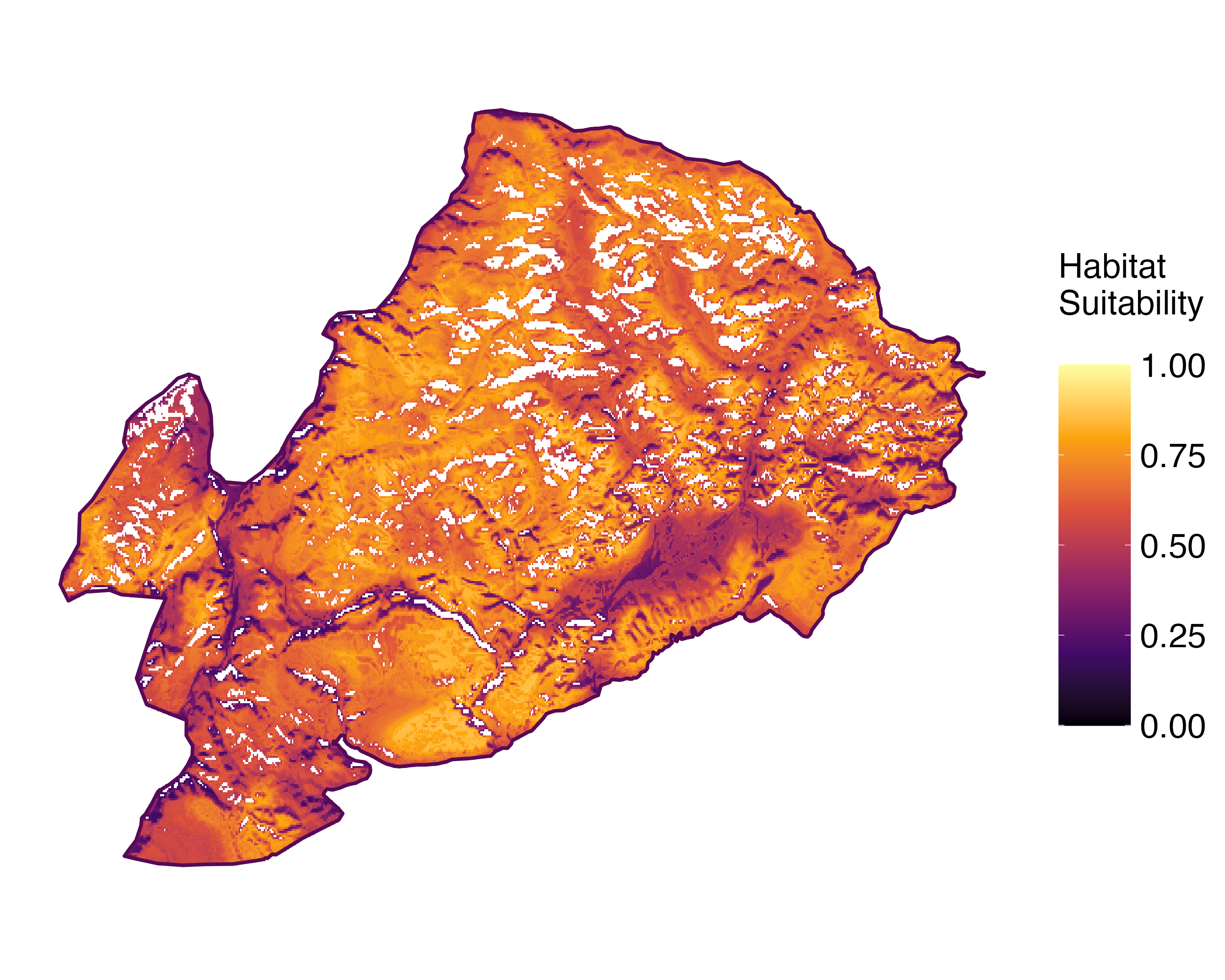 Model Image