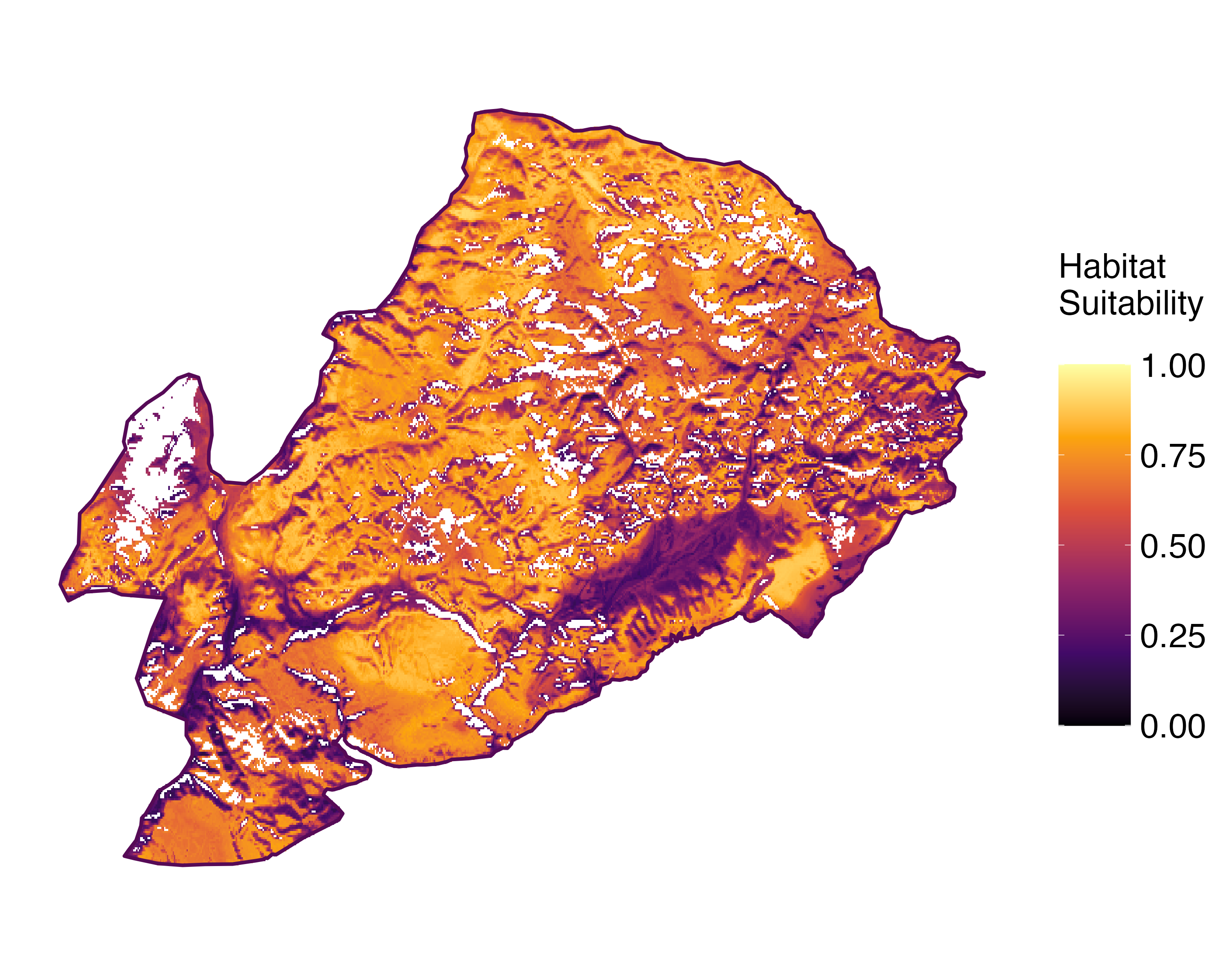 Model Image