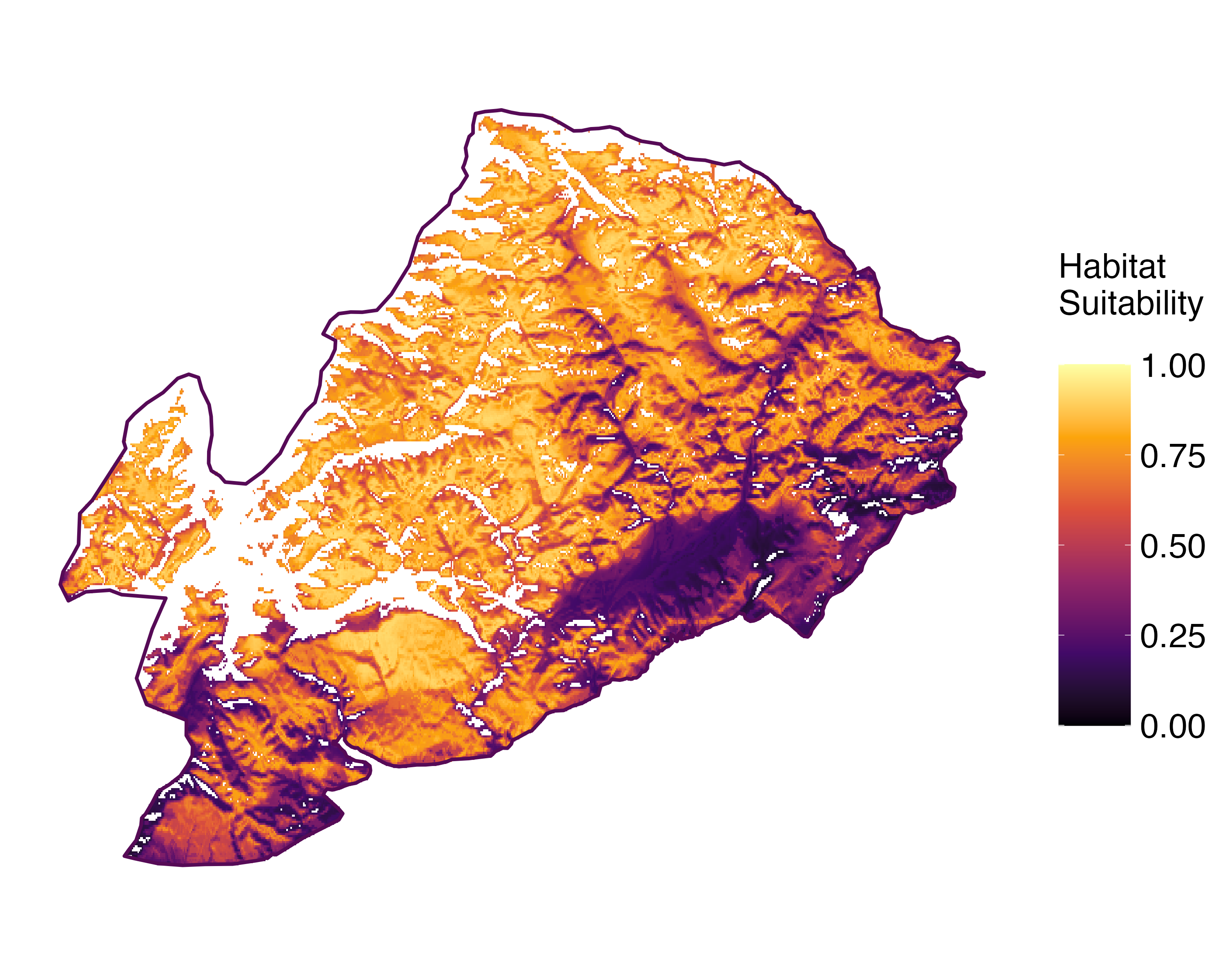 Model Image
