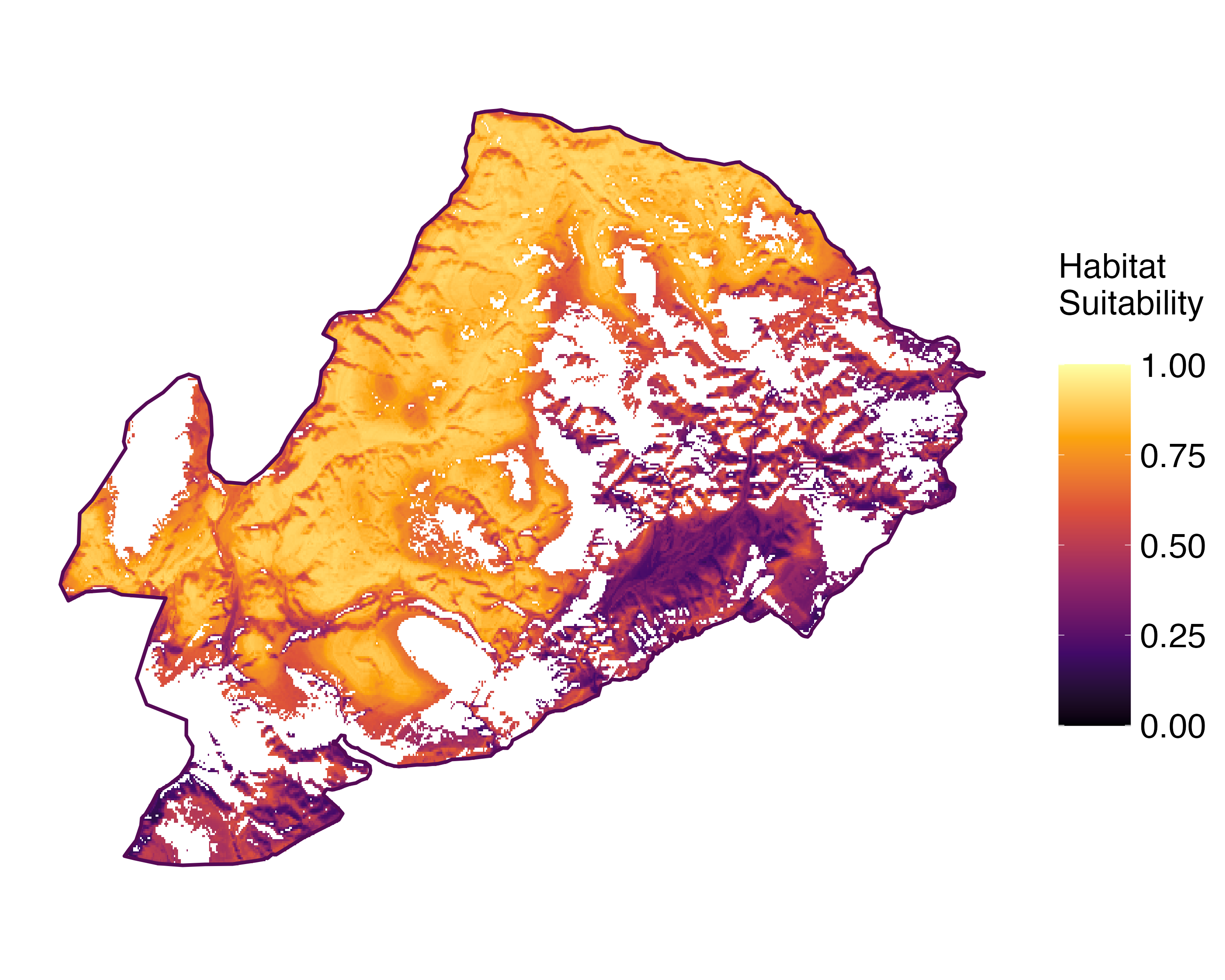 Model Image