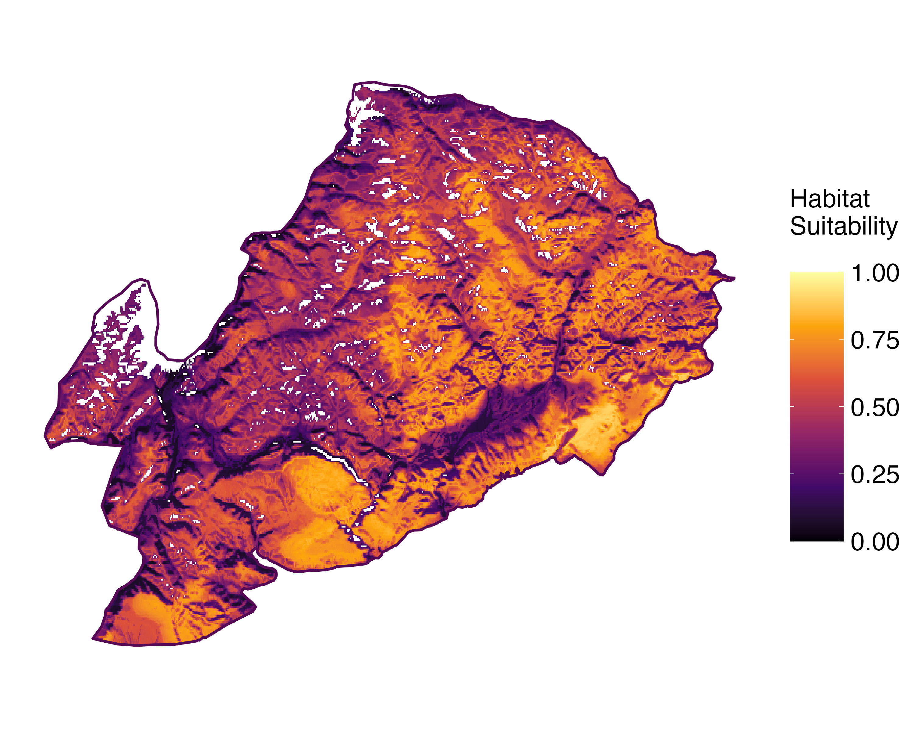 Model Image