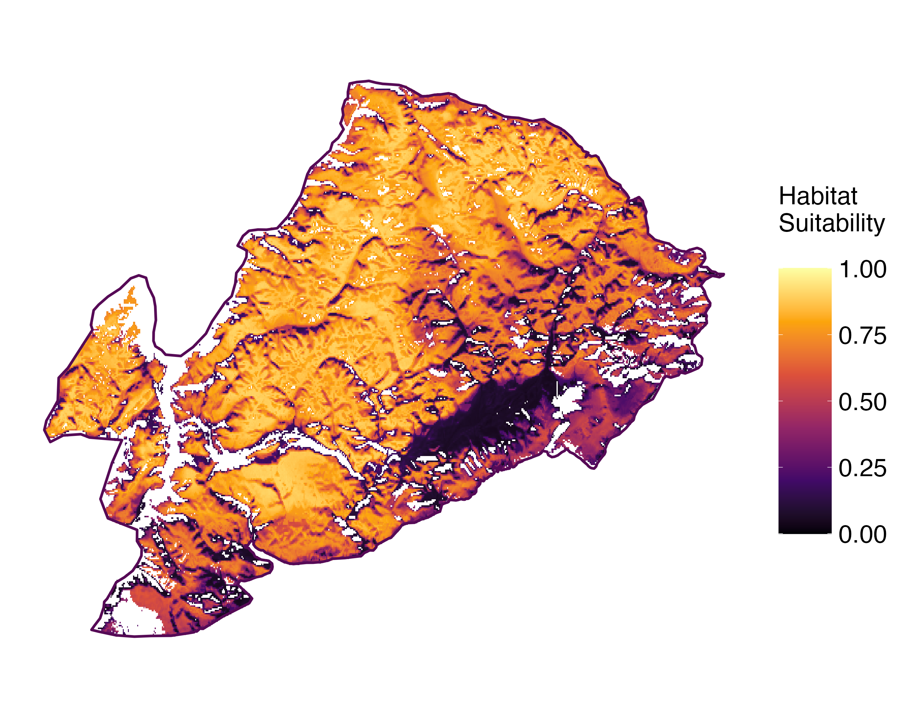 Model Image