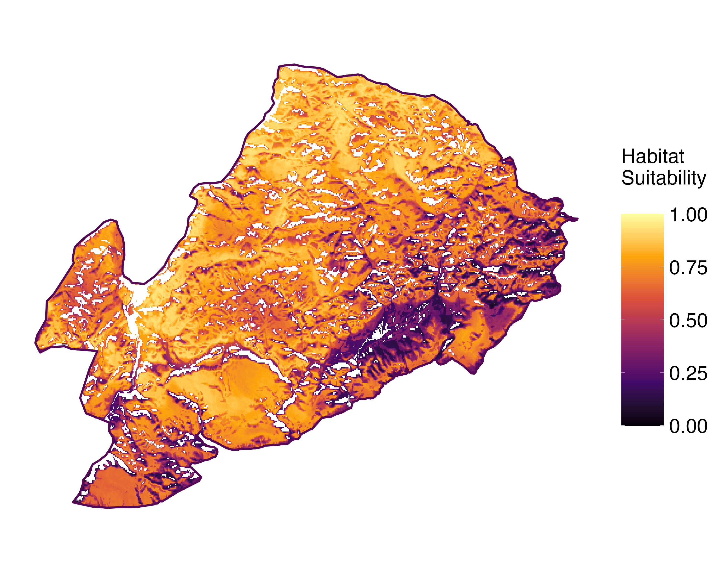 Model Image