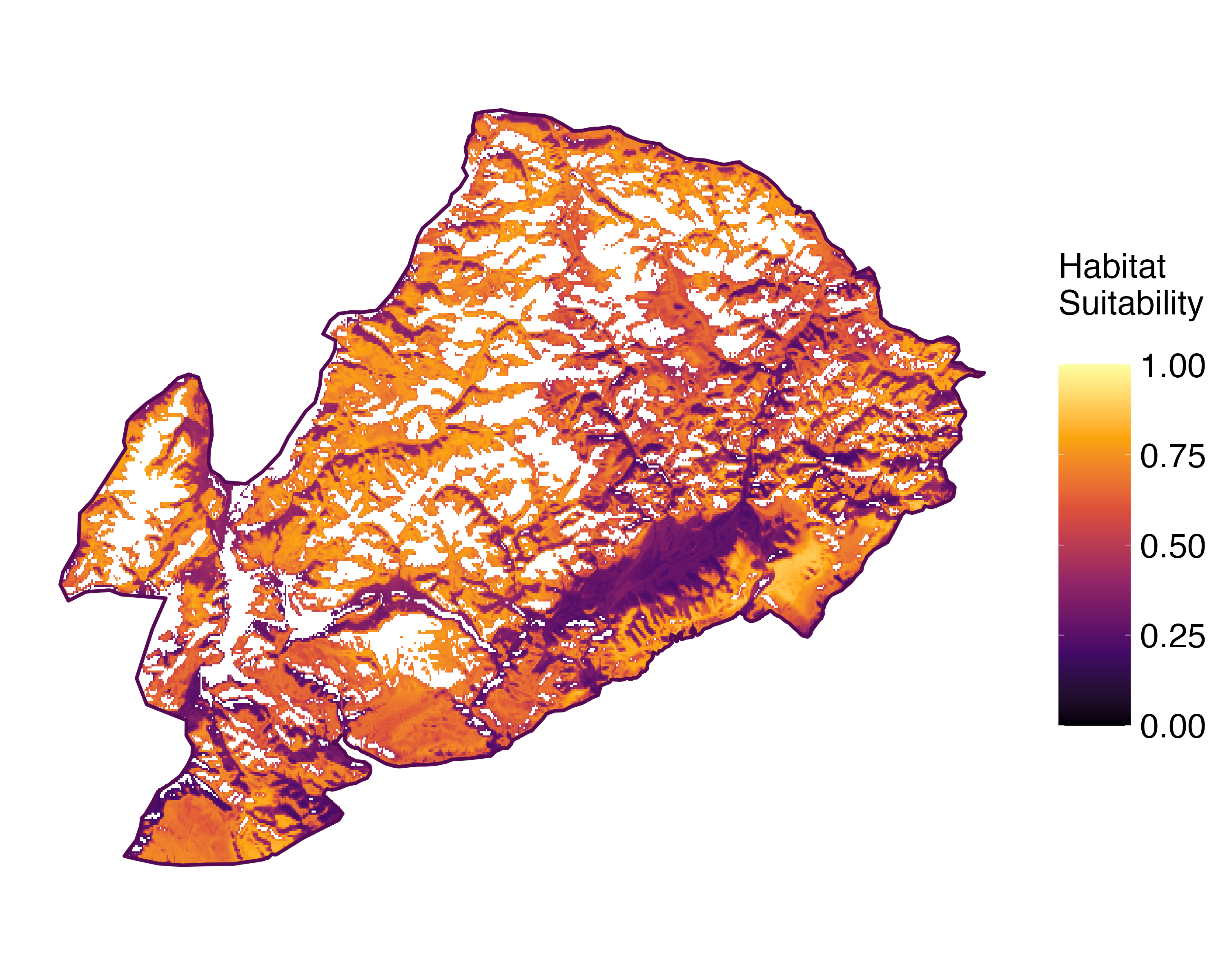 Model Image