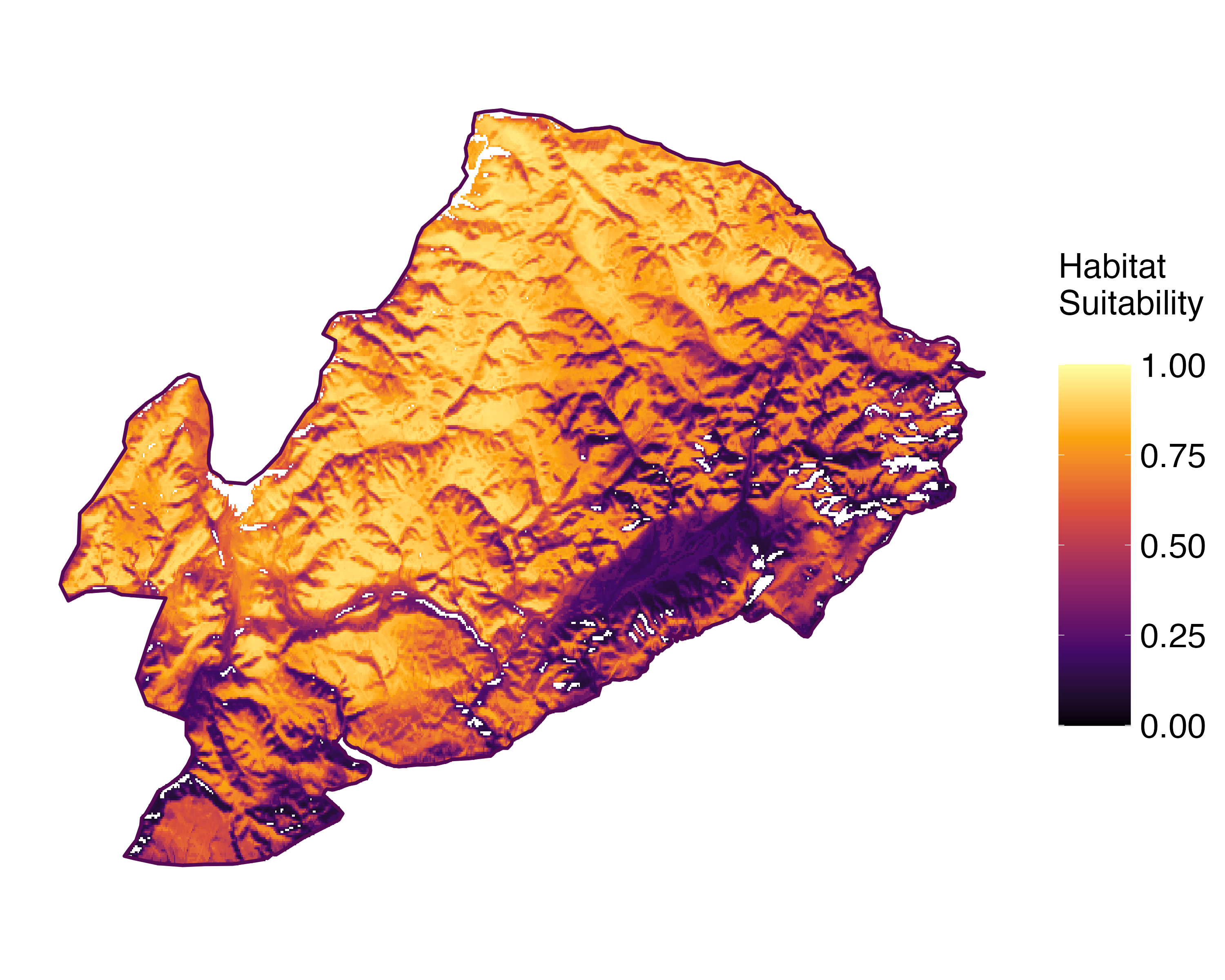 Model Image