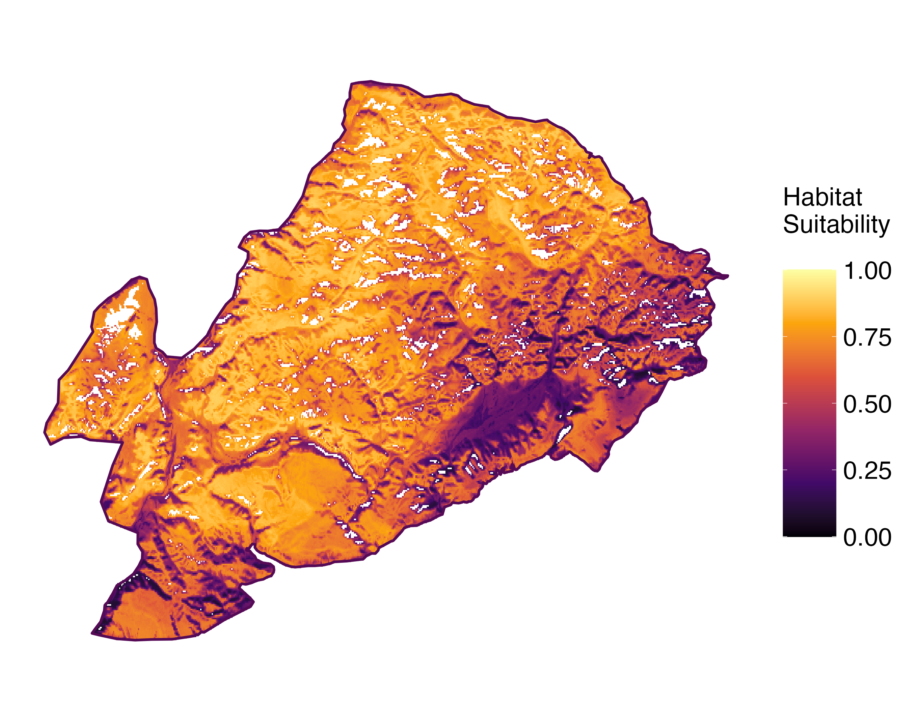 Model Image