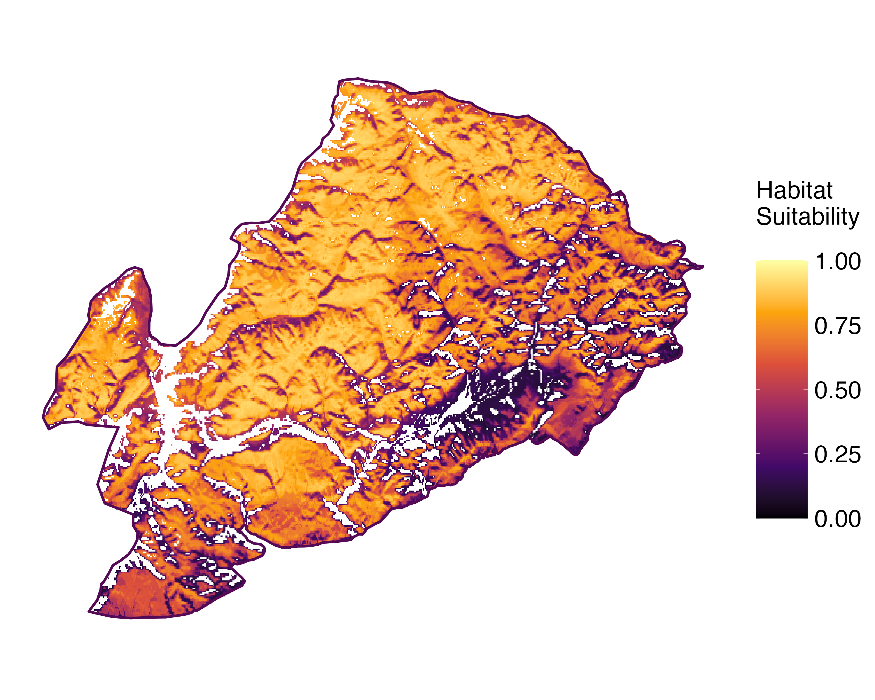 Model Image