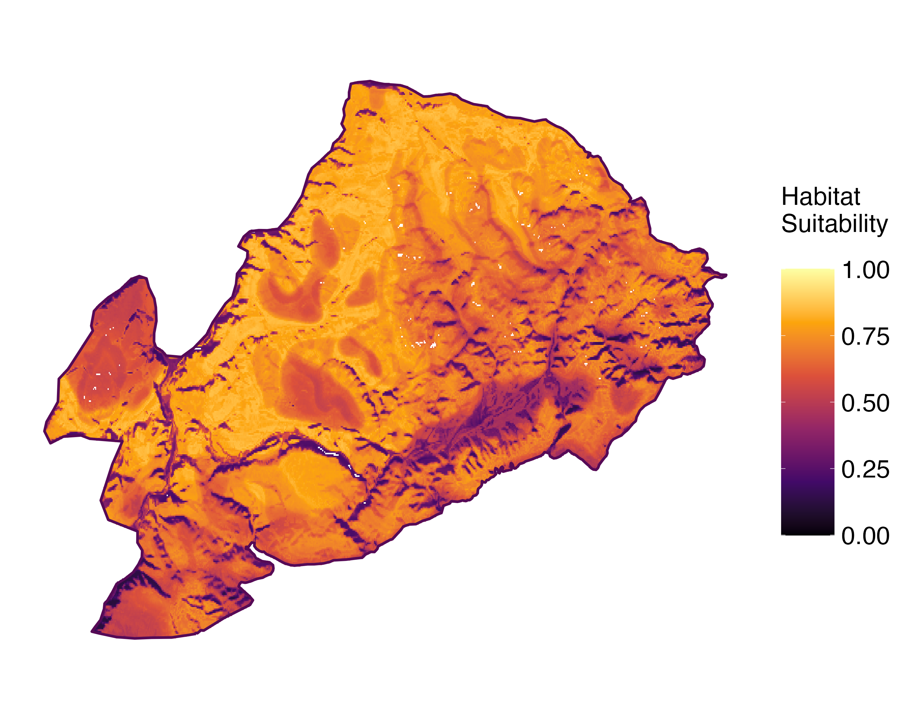 Model Image