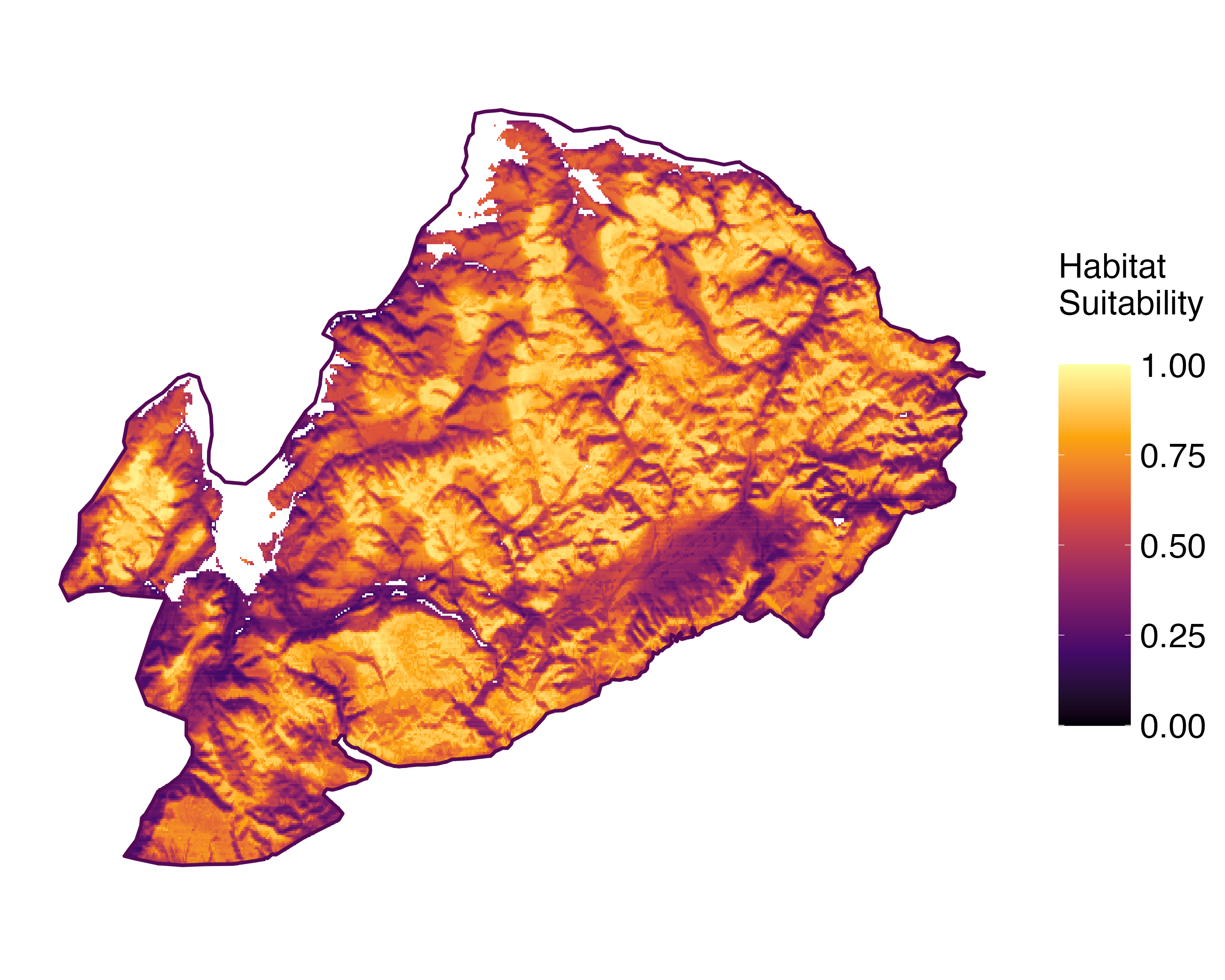 Model Image