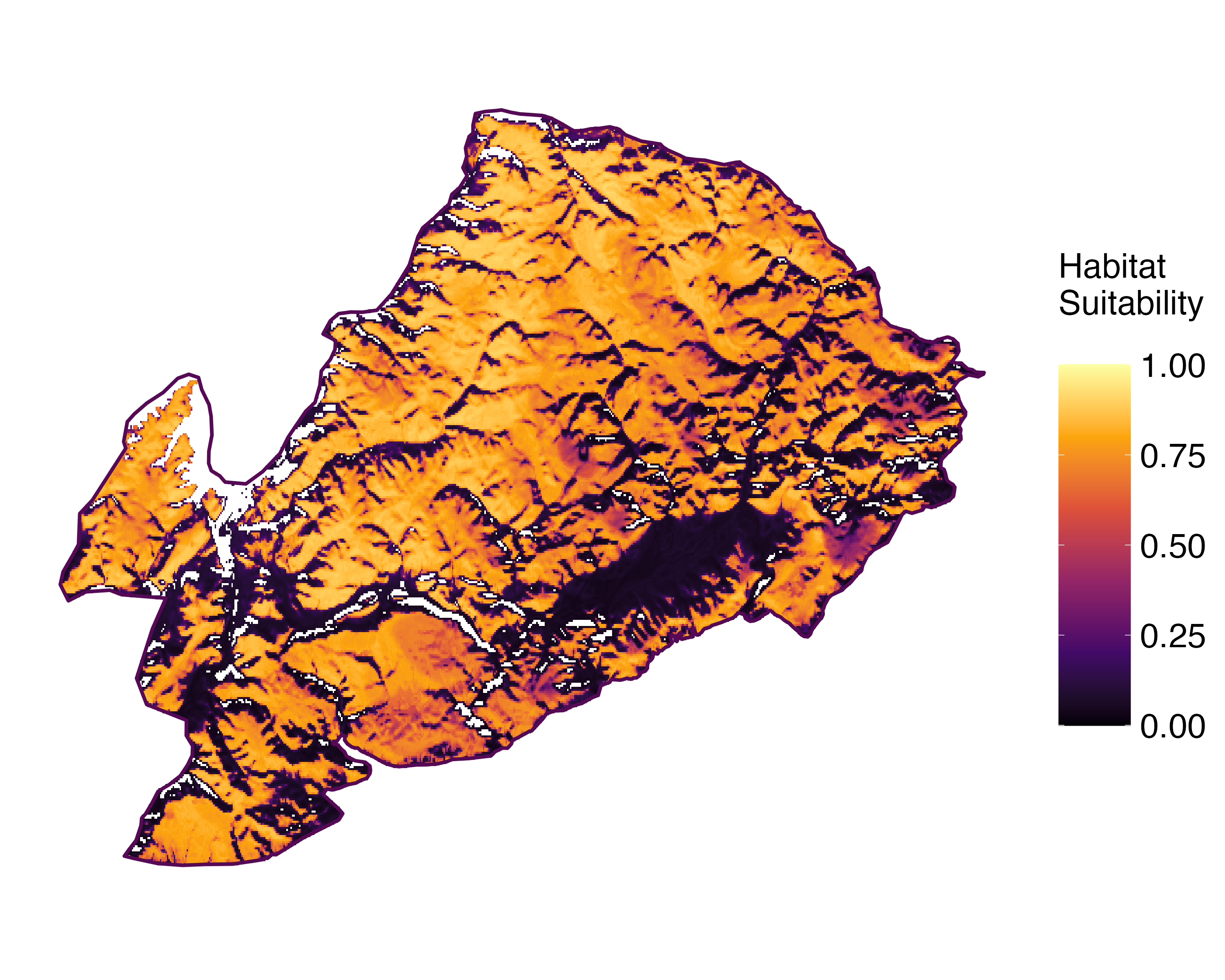 Model Image