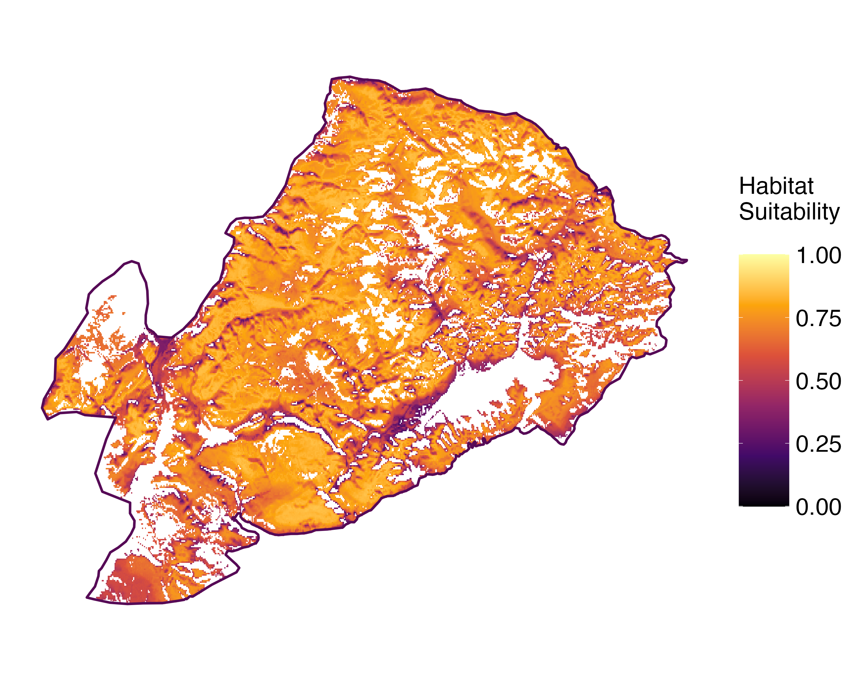 Model Image
