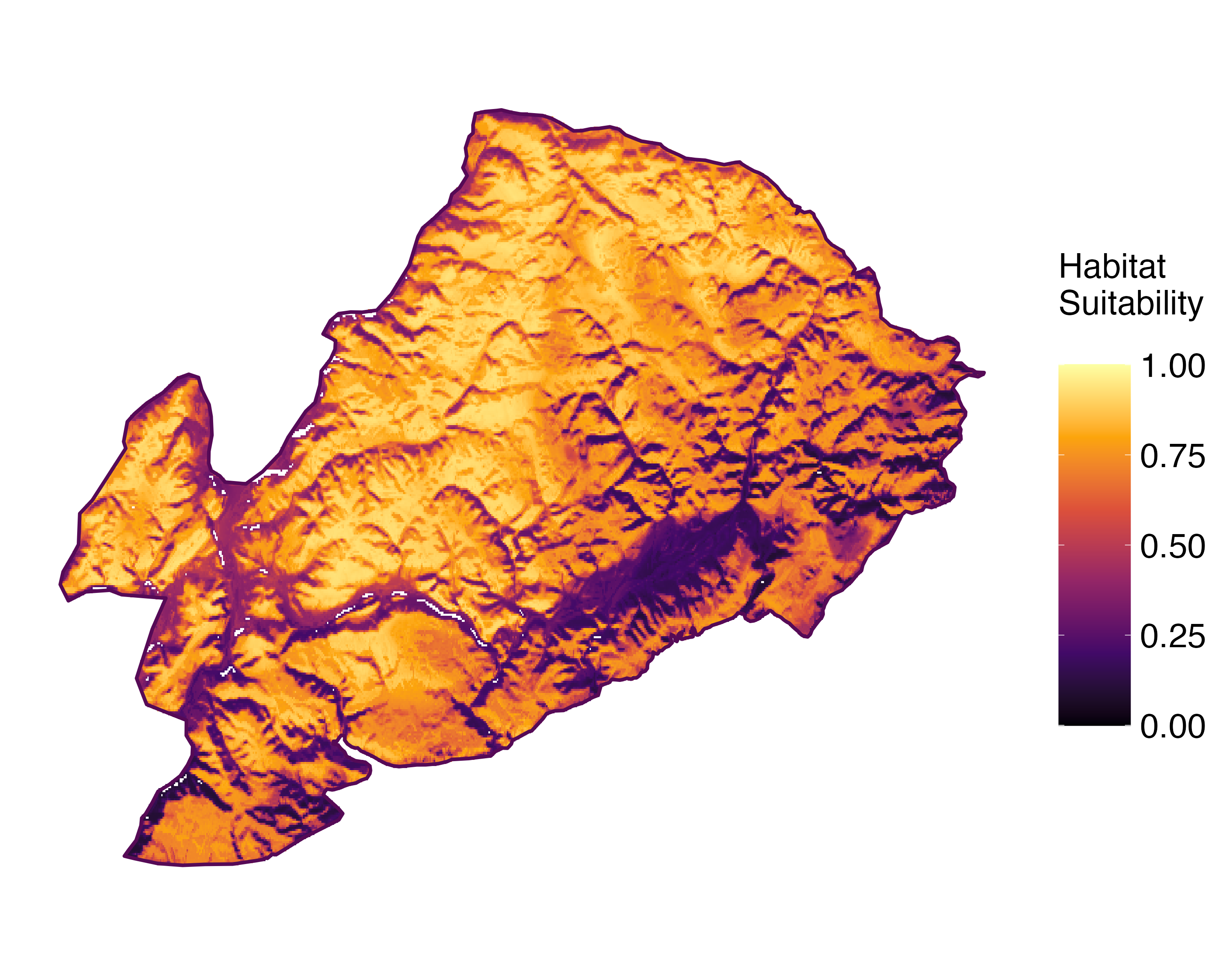 Model Image