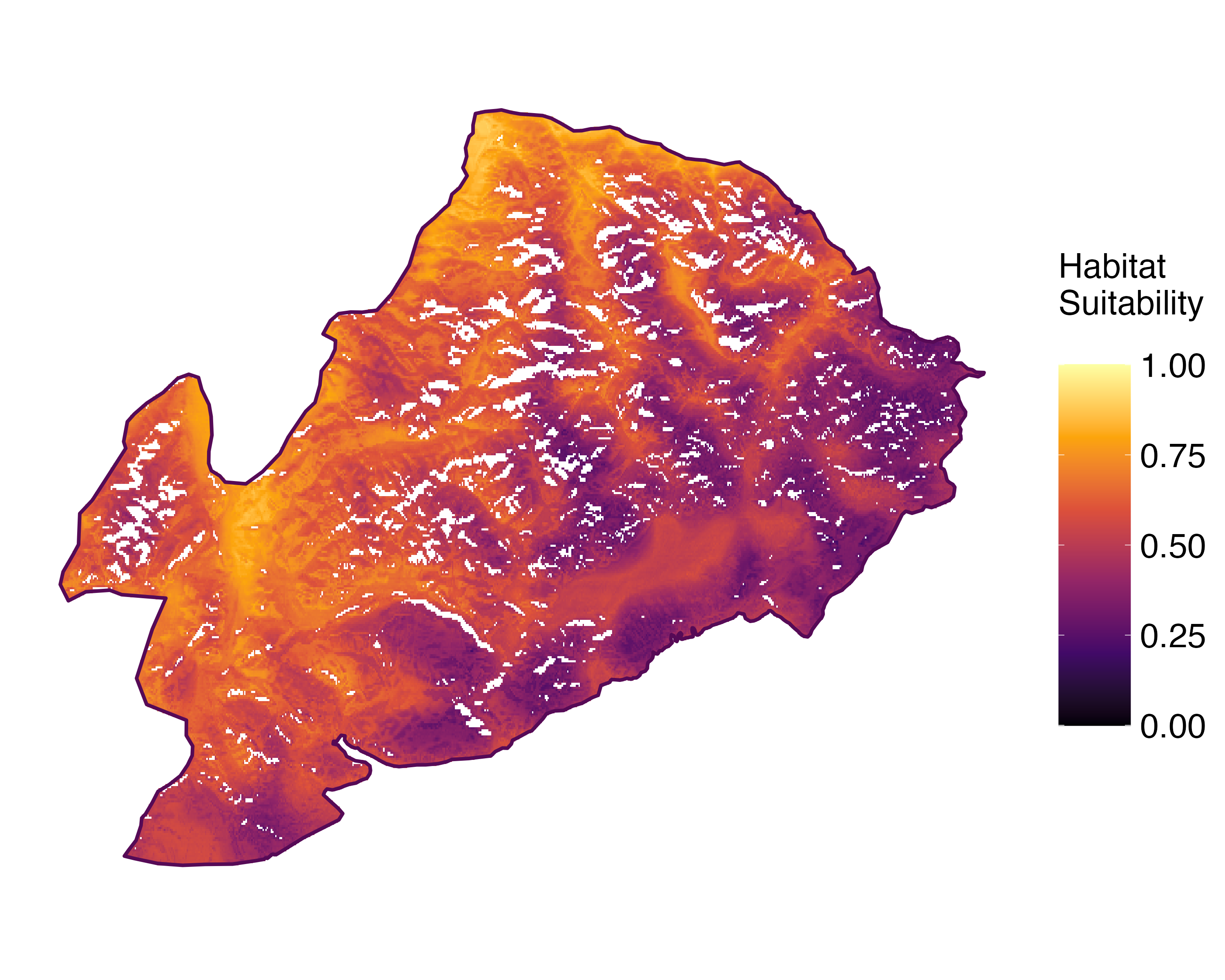 Model Image