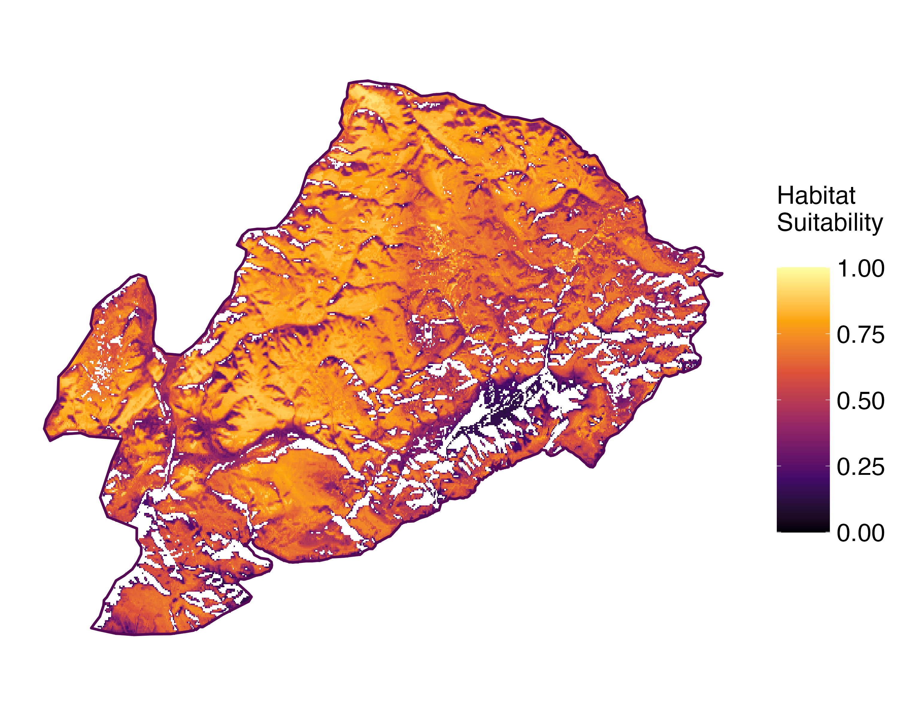 Model Image