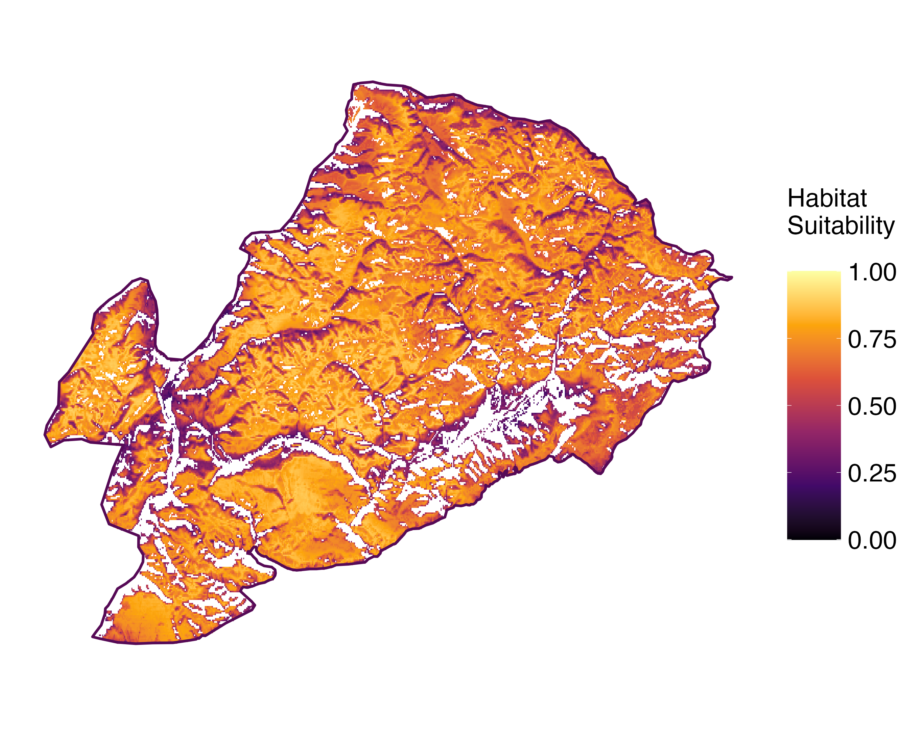 Model Image
