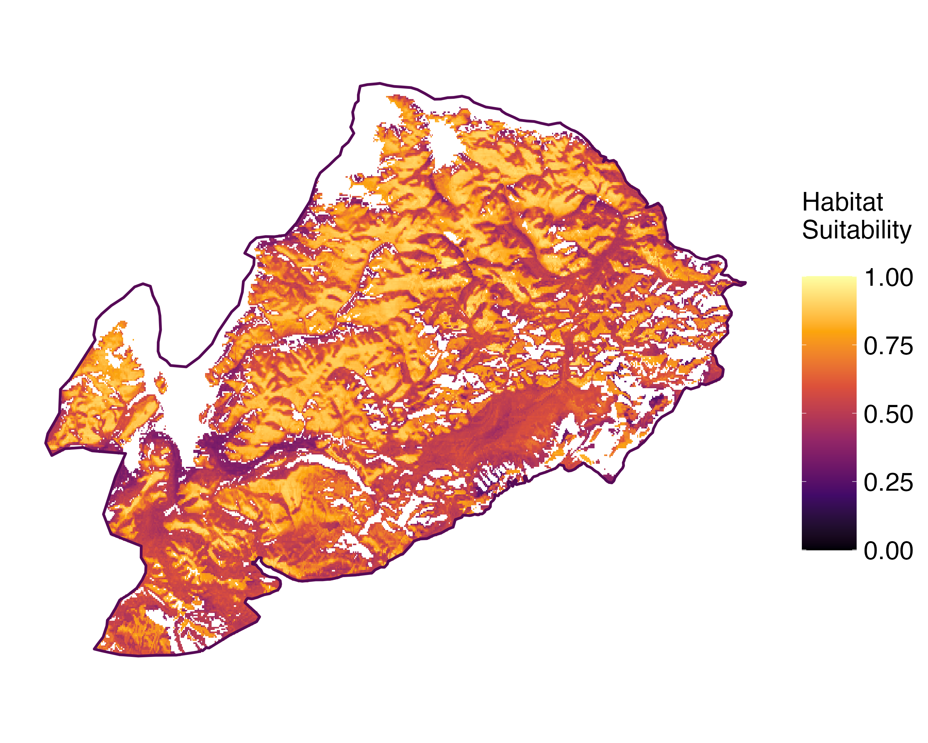 Model Image