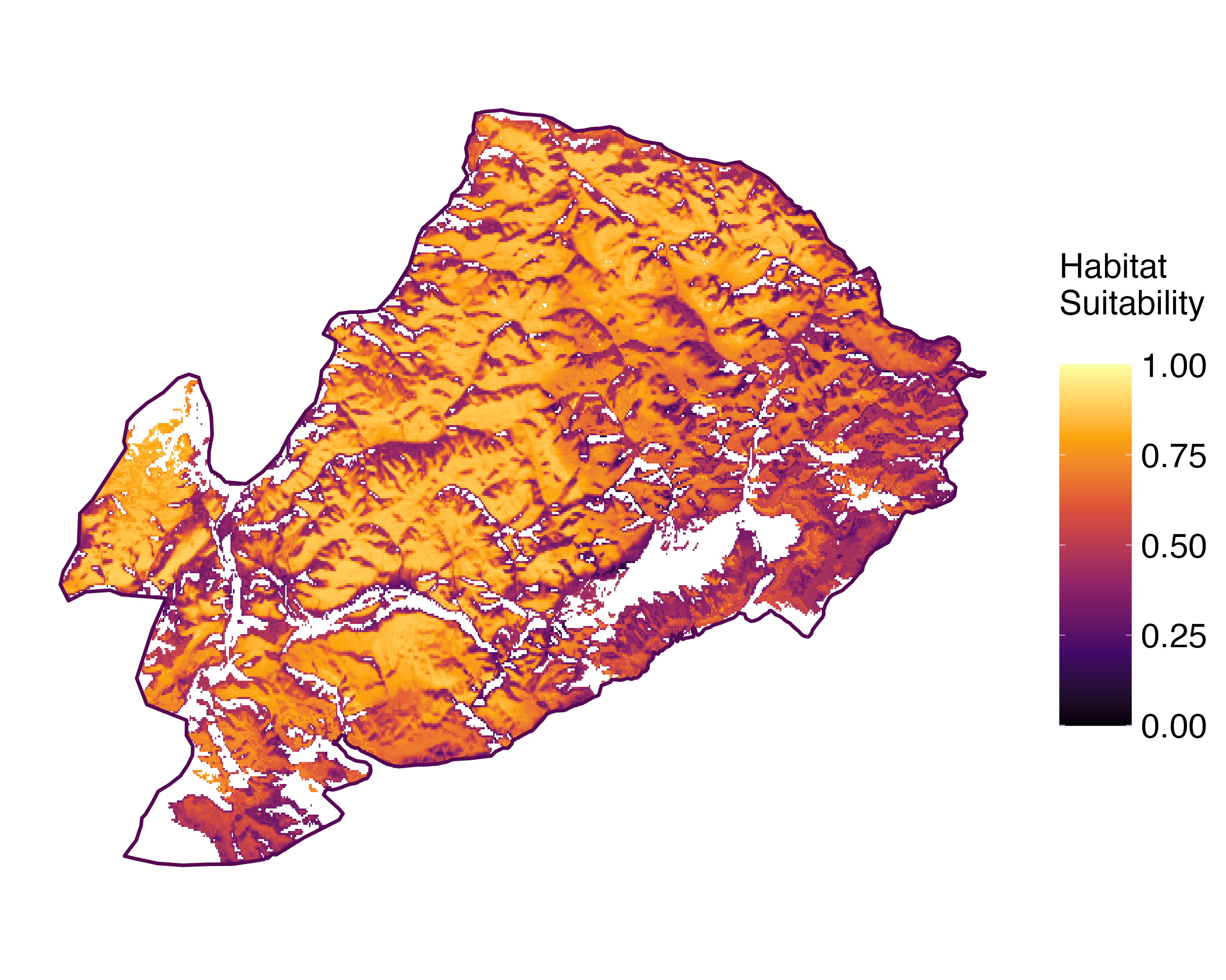 Model Image