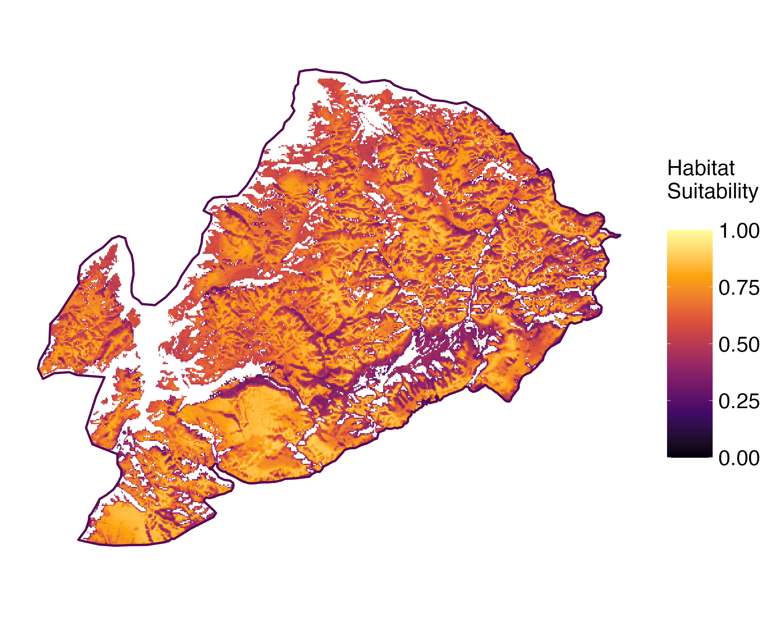 Model Image