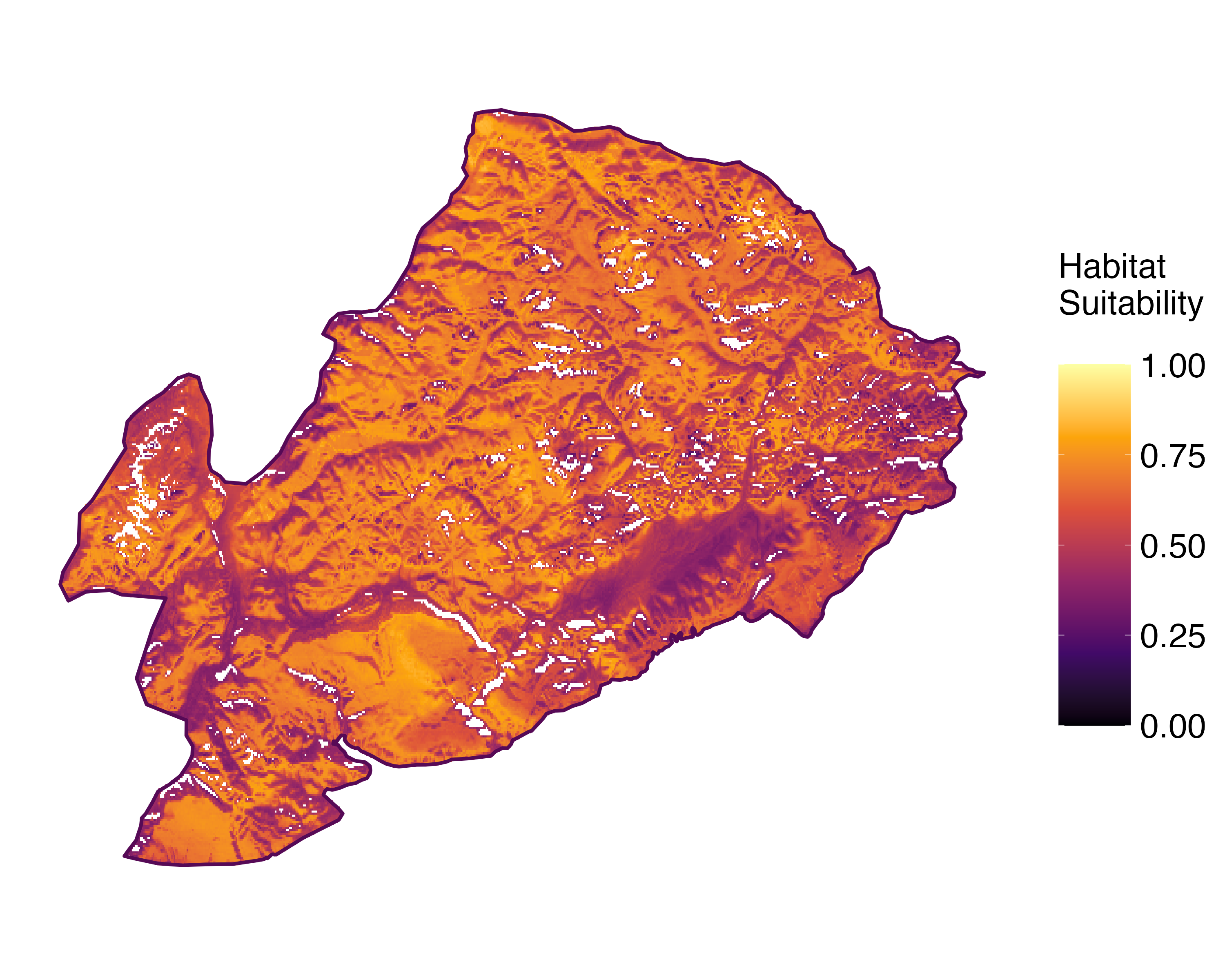 Model Image