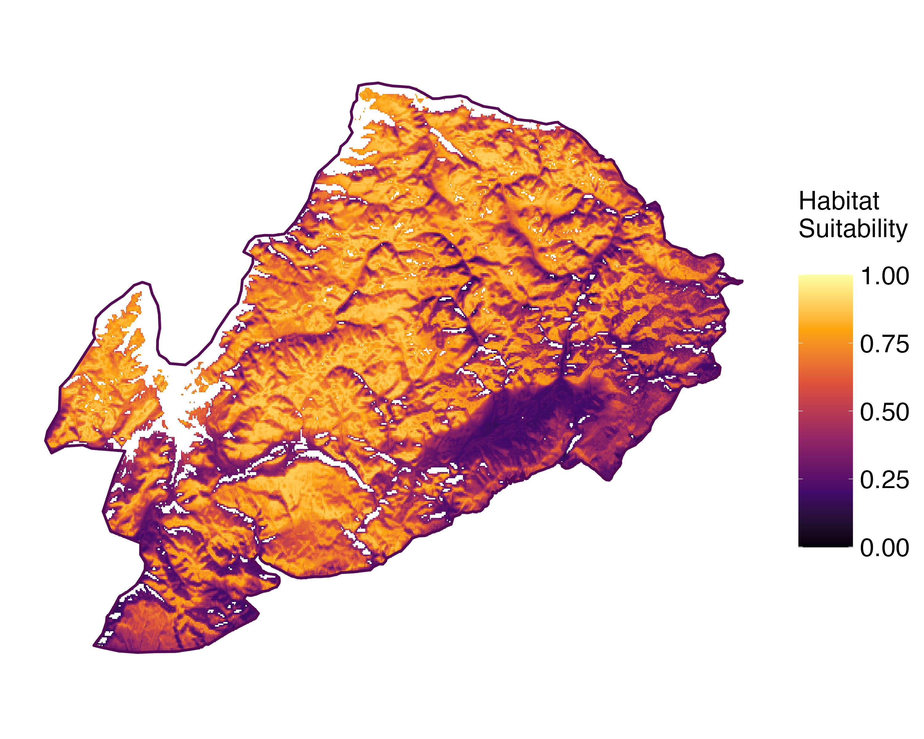 Model Image