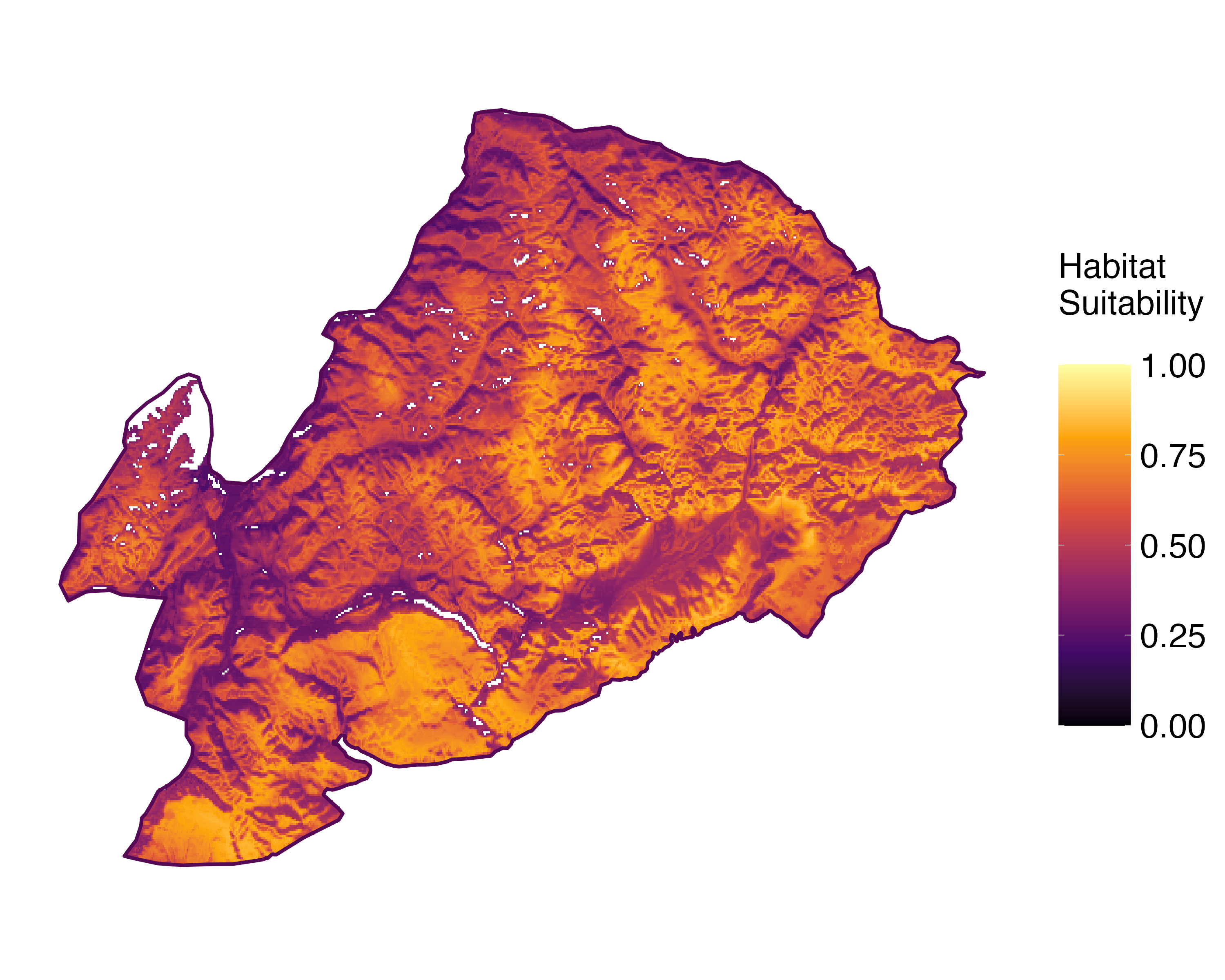Model Image