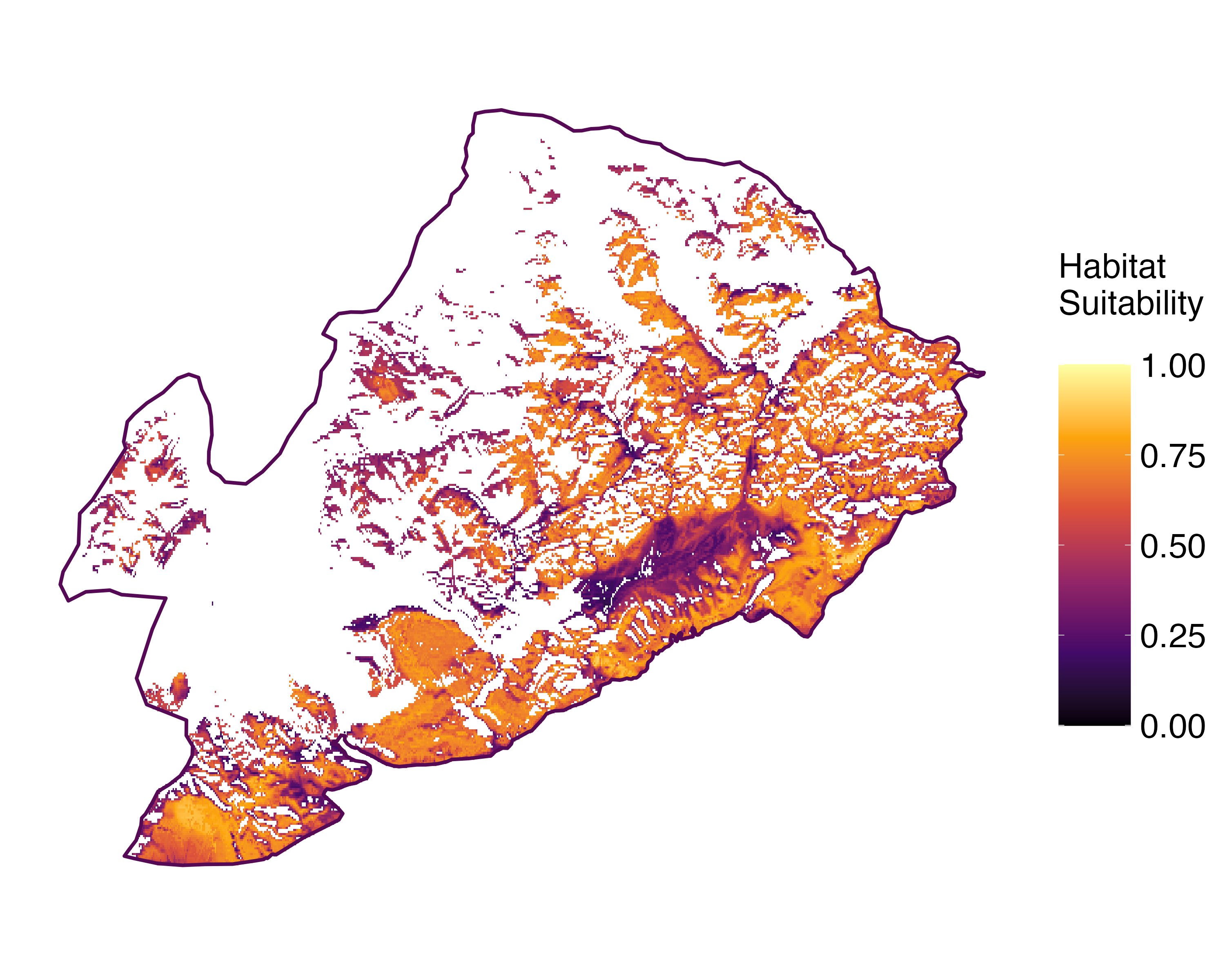 Model Image