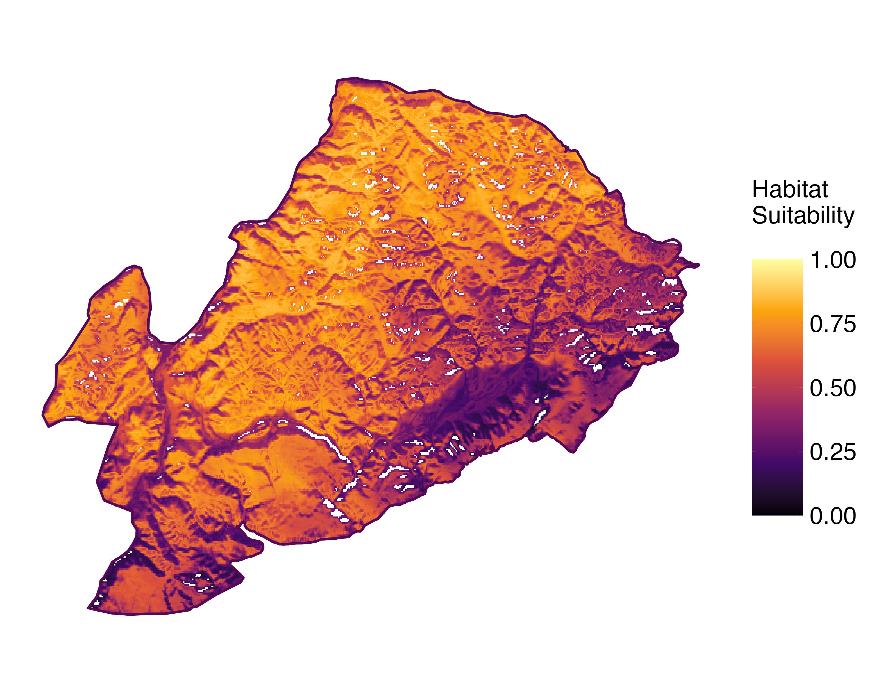 Model Image