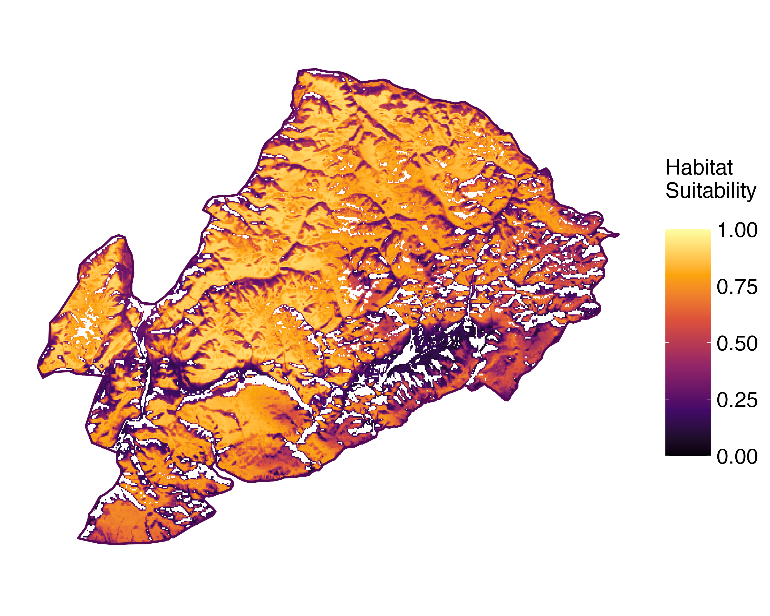 Model Image