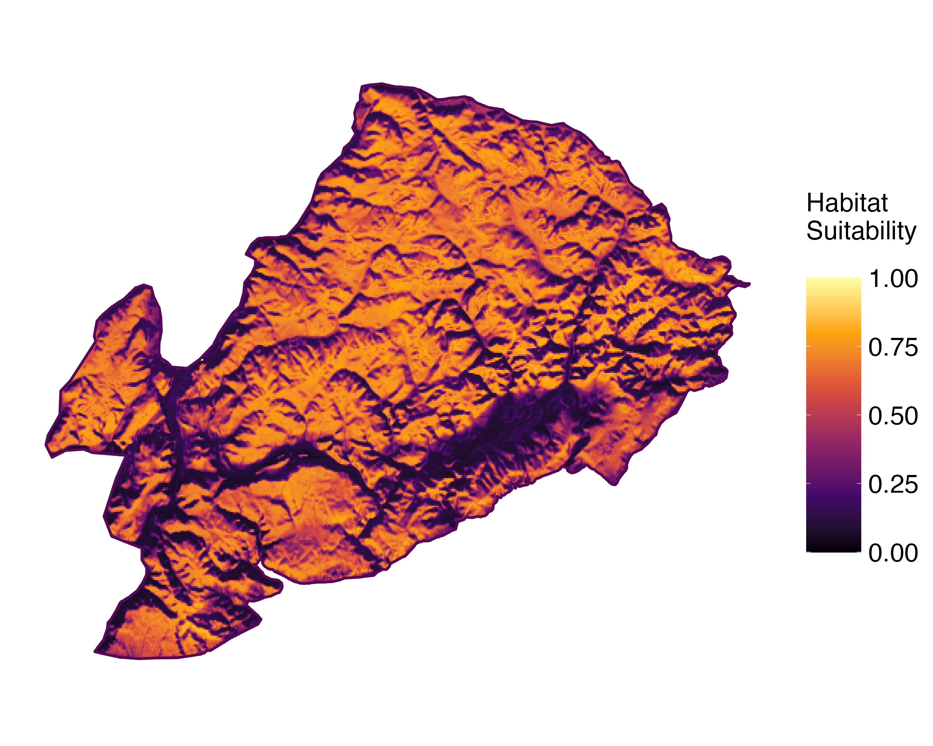 Model Image