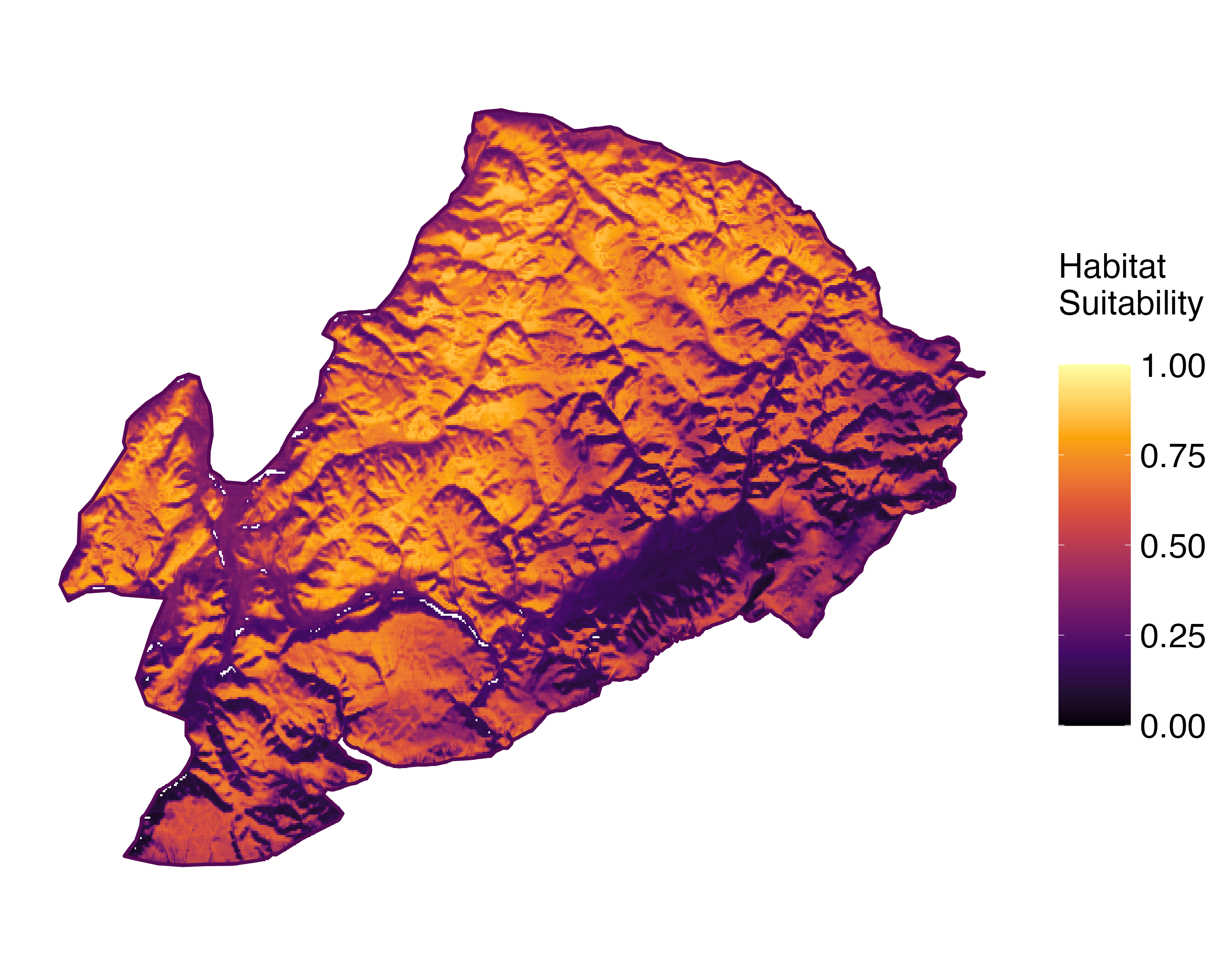Model Image