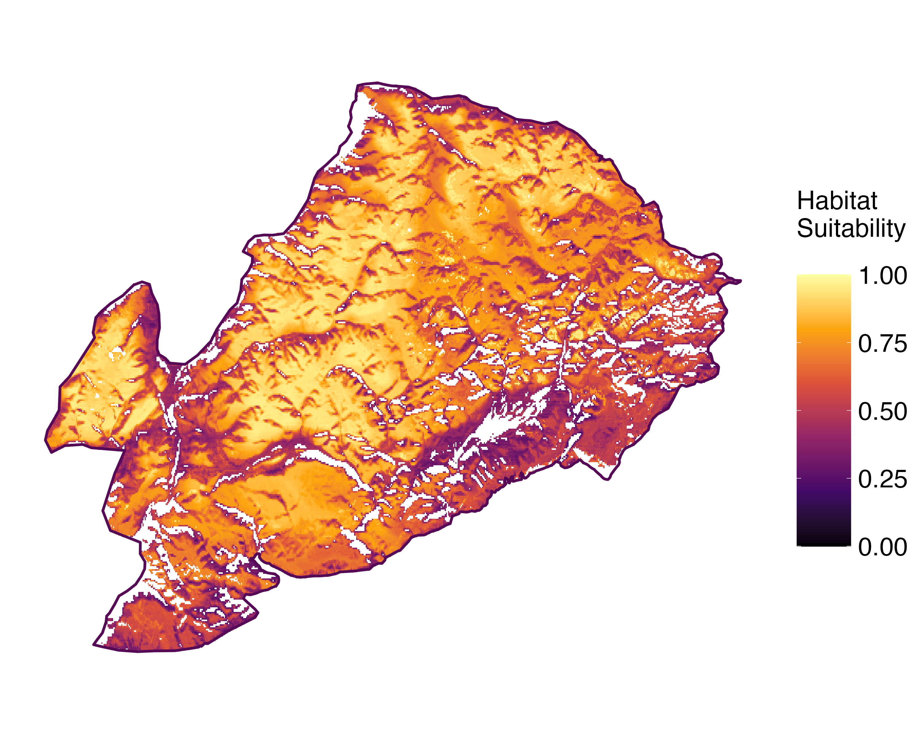 Model Image
