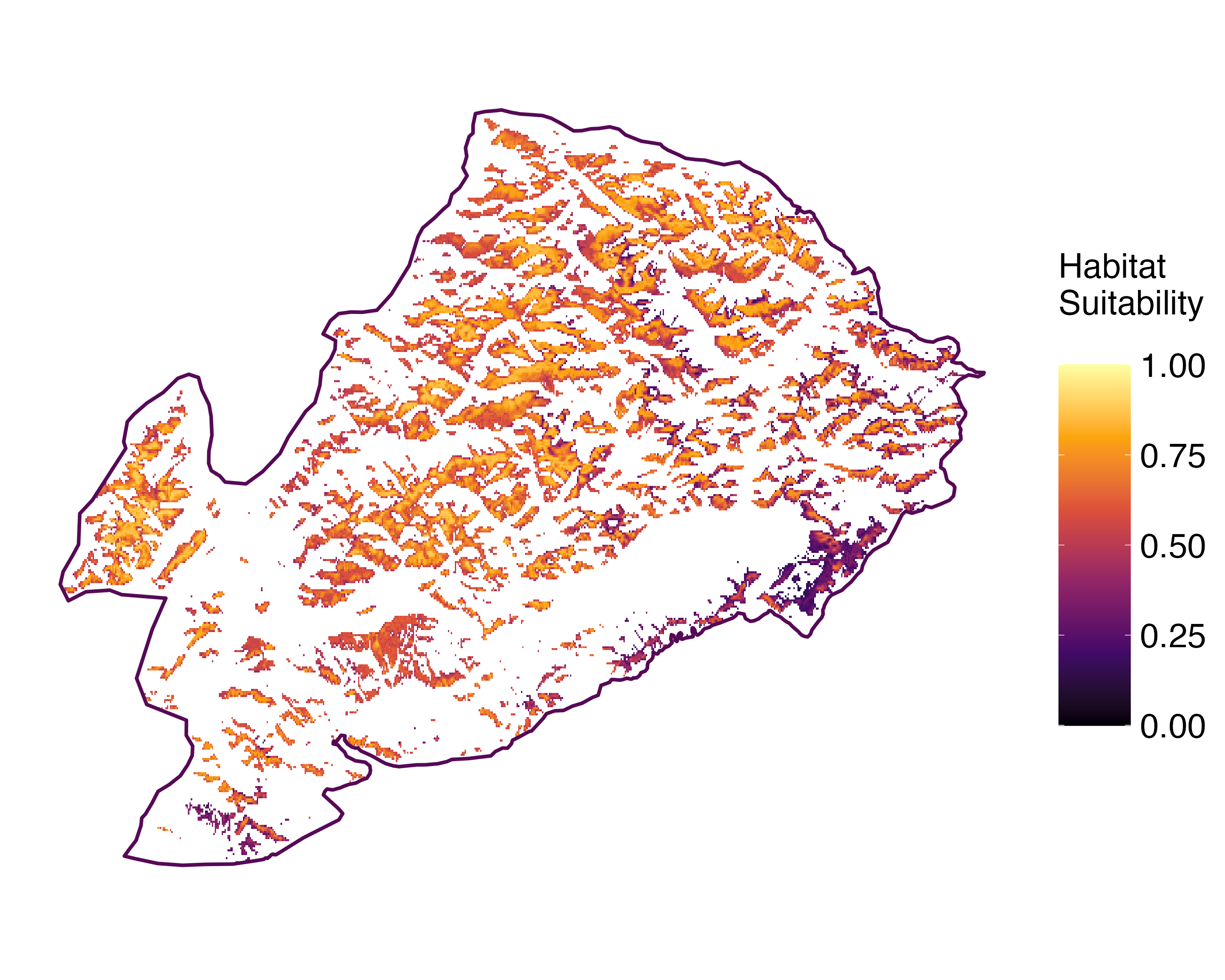 Model Image