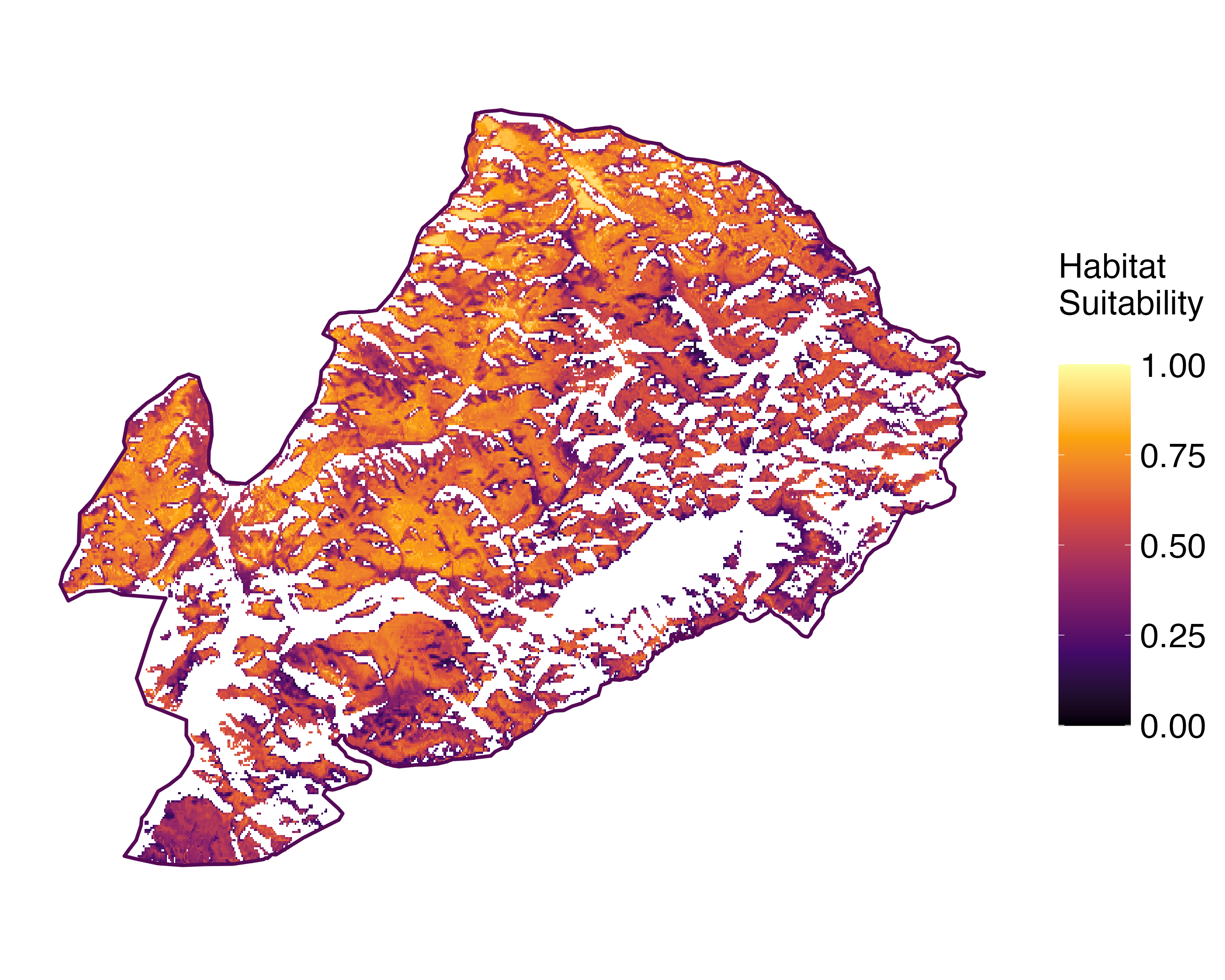 Model Image