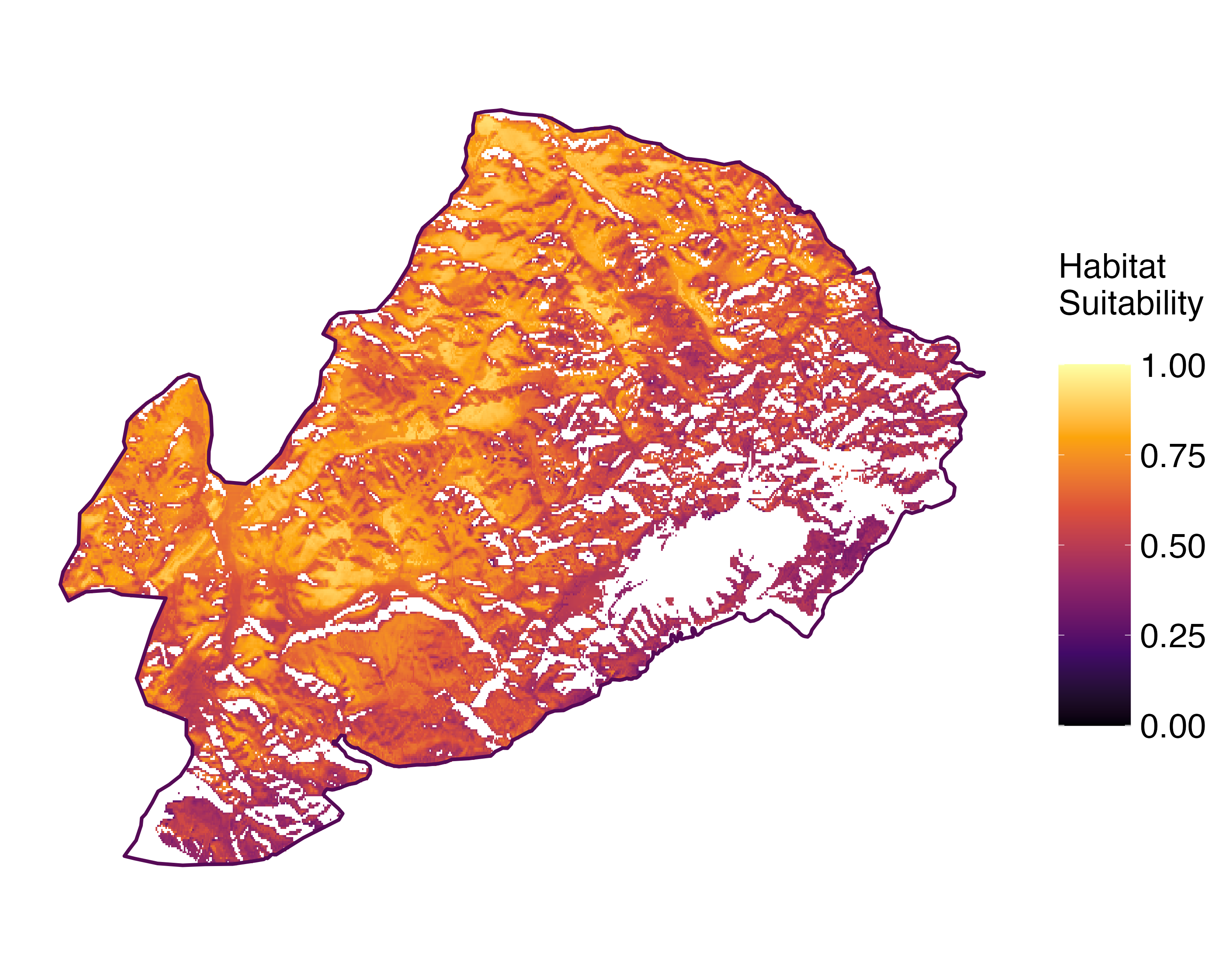Model Image