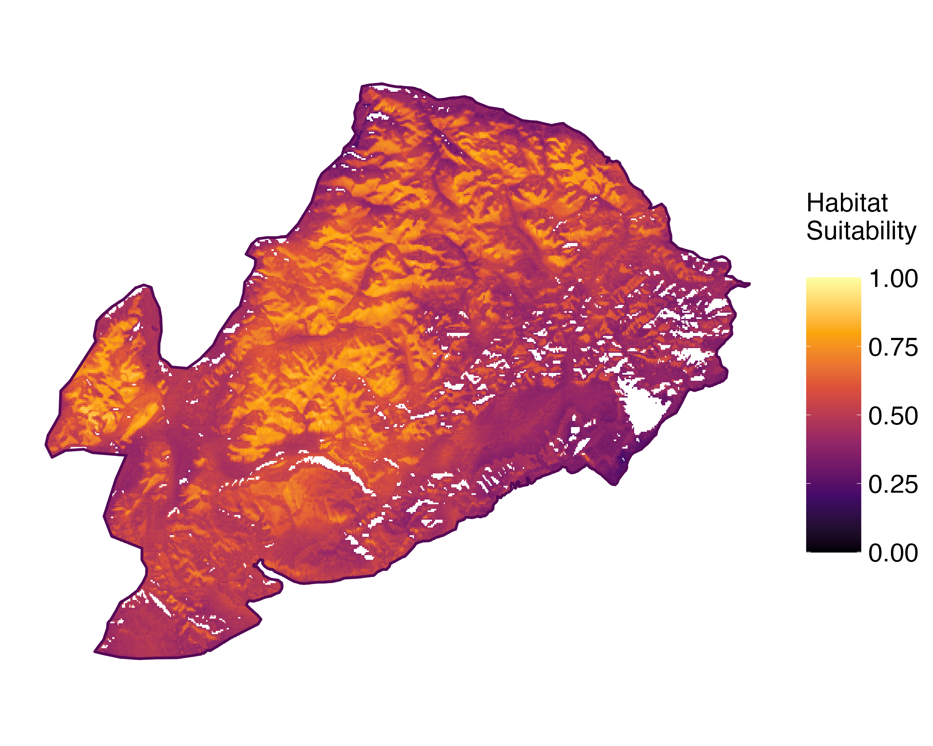 Model Image