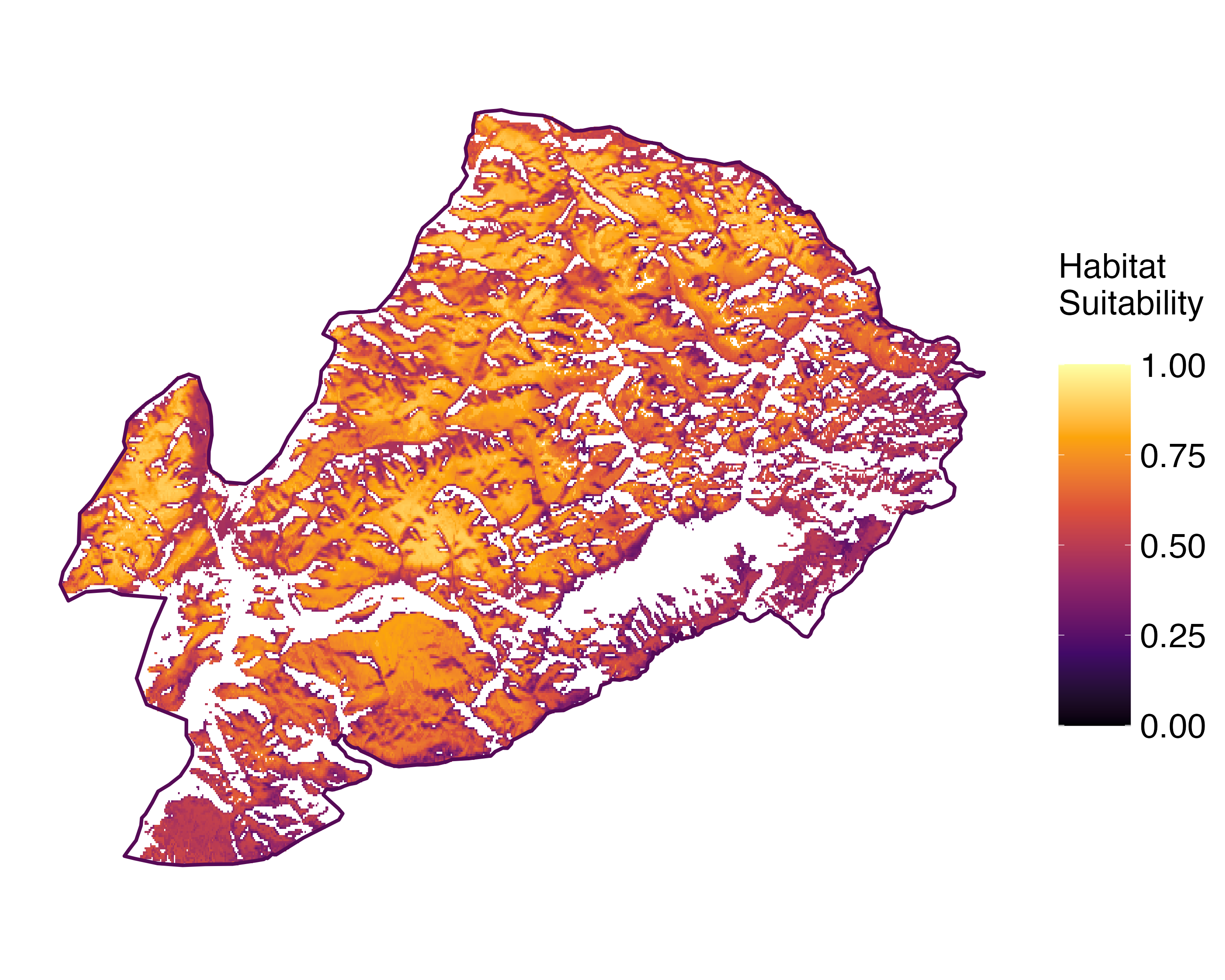 Model Image