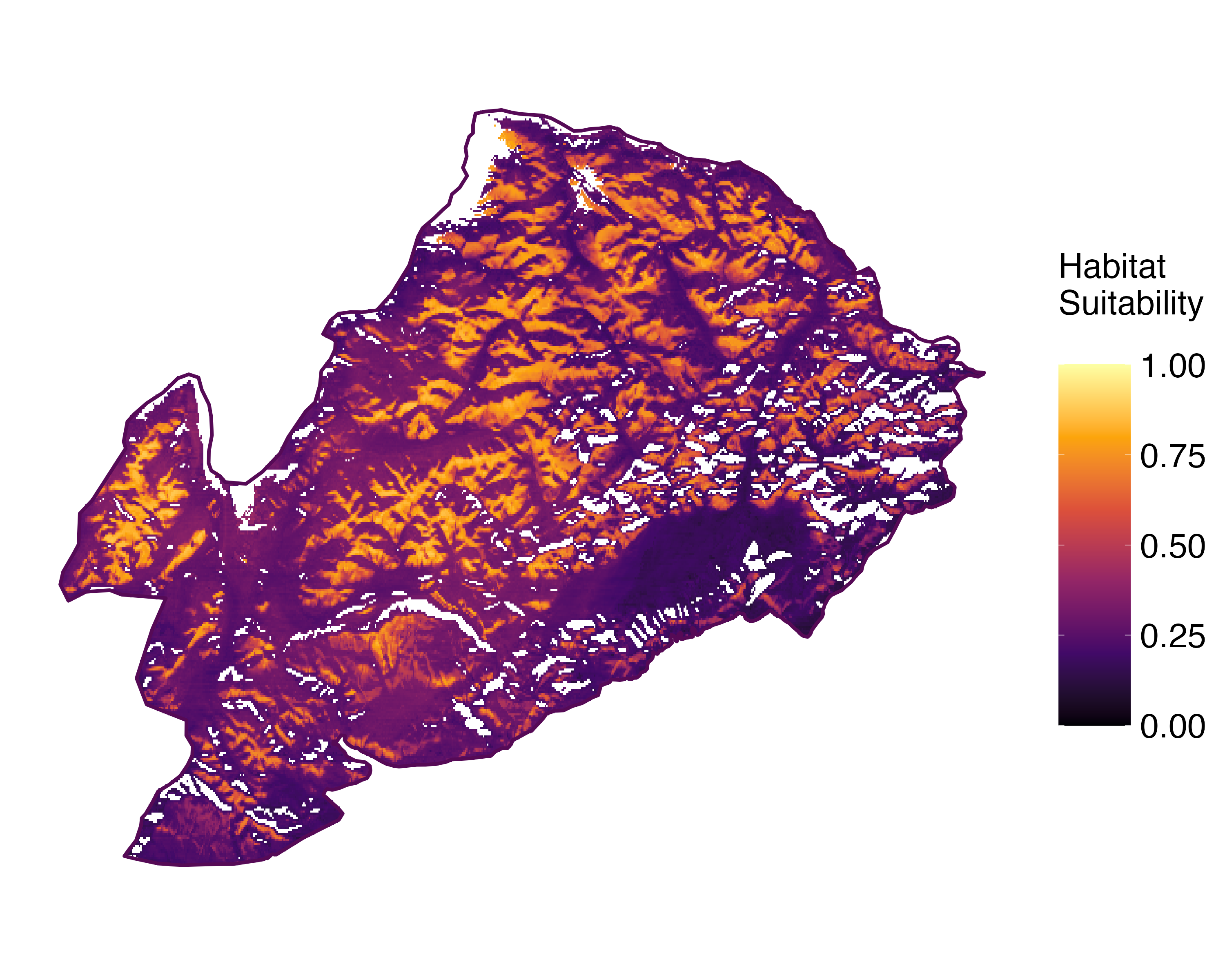 Model Image