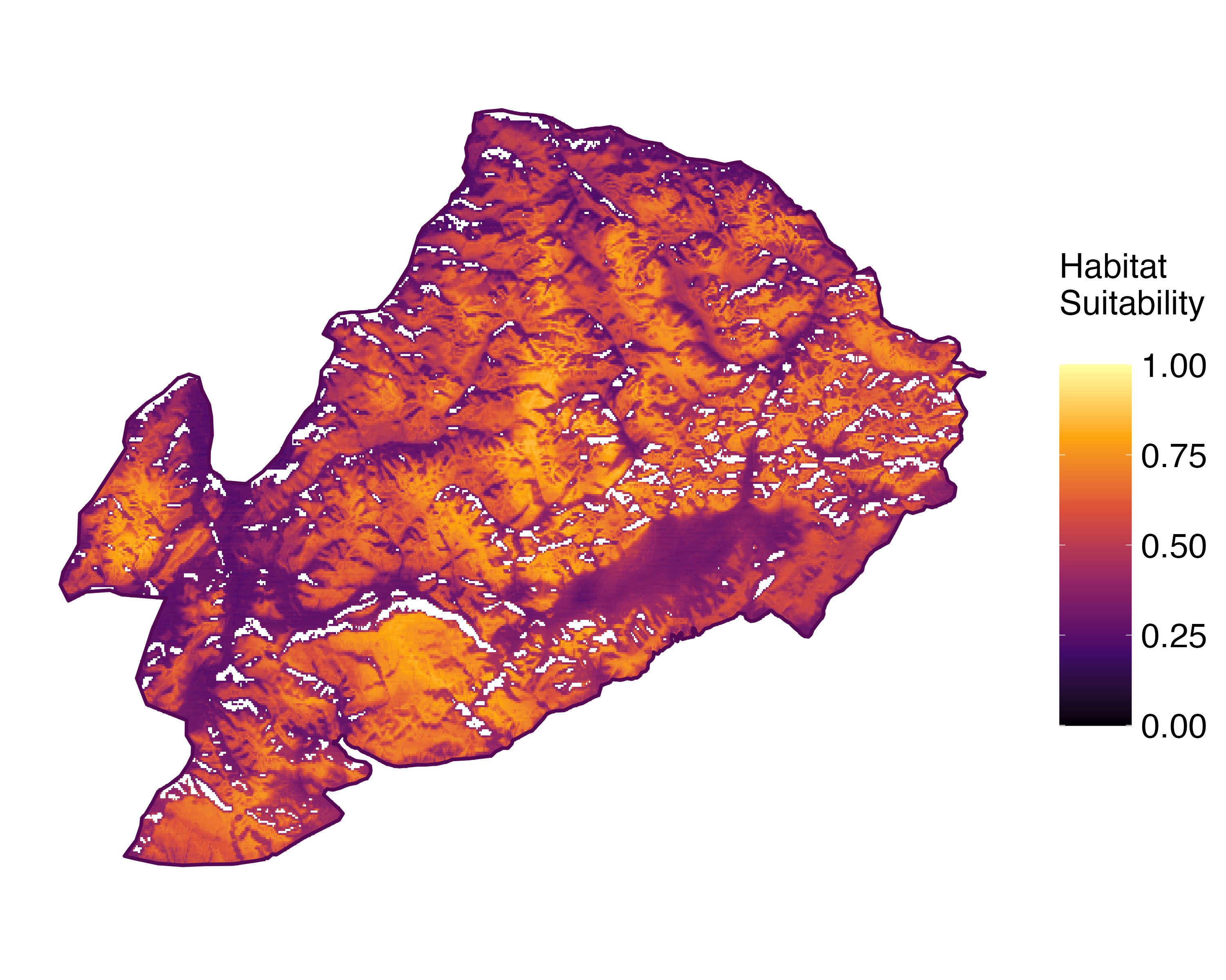Model Image