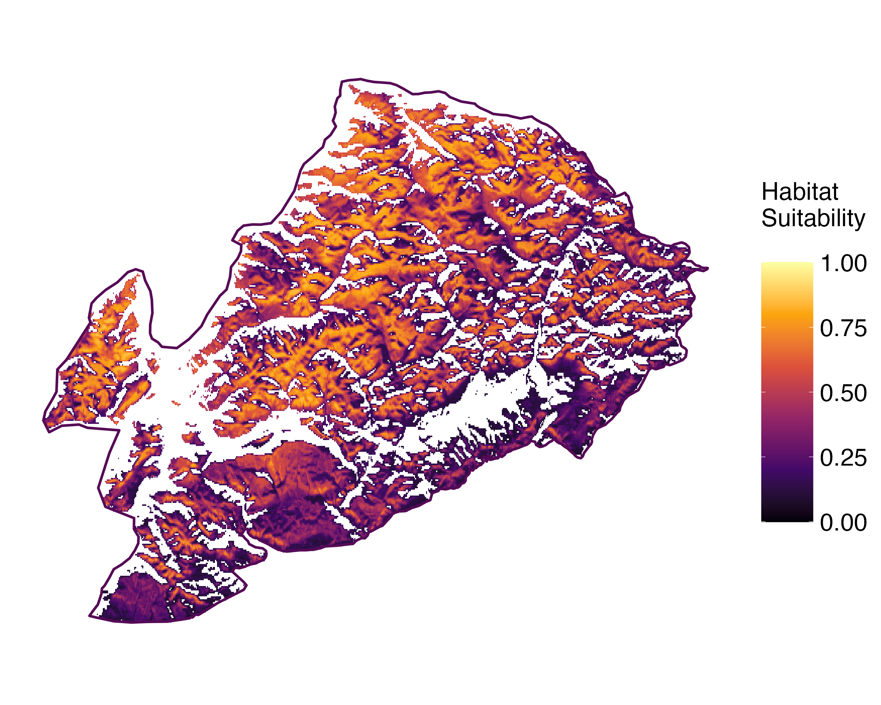 Model Image